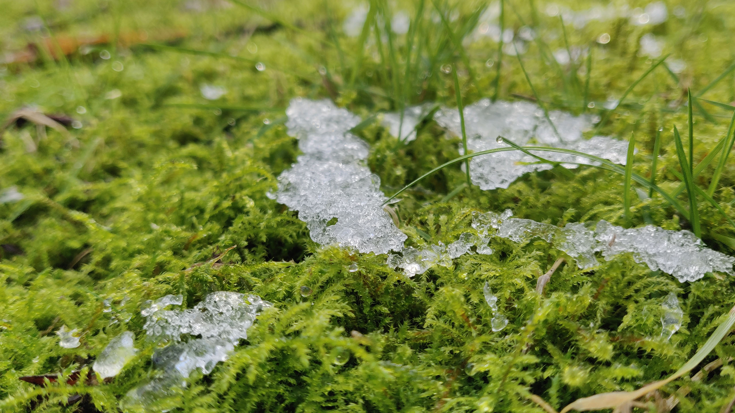 小清新,清新淡雅,草地,融化,冰雪