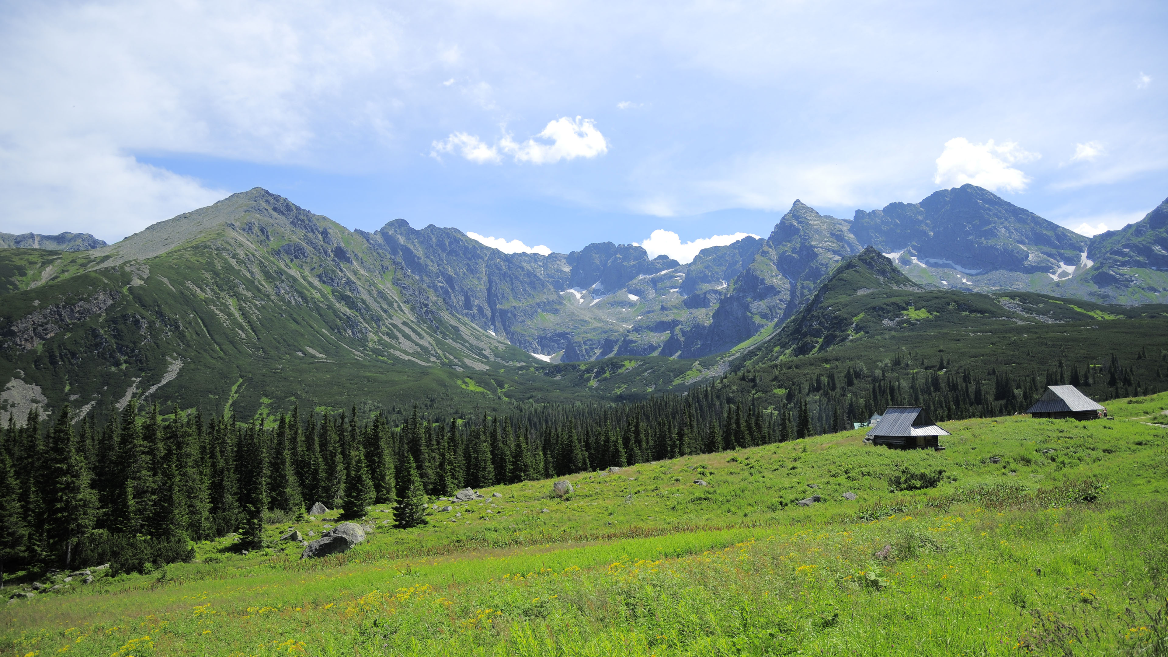 4K专区,自然风光,山峰,山坡,小木屋,树林