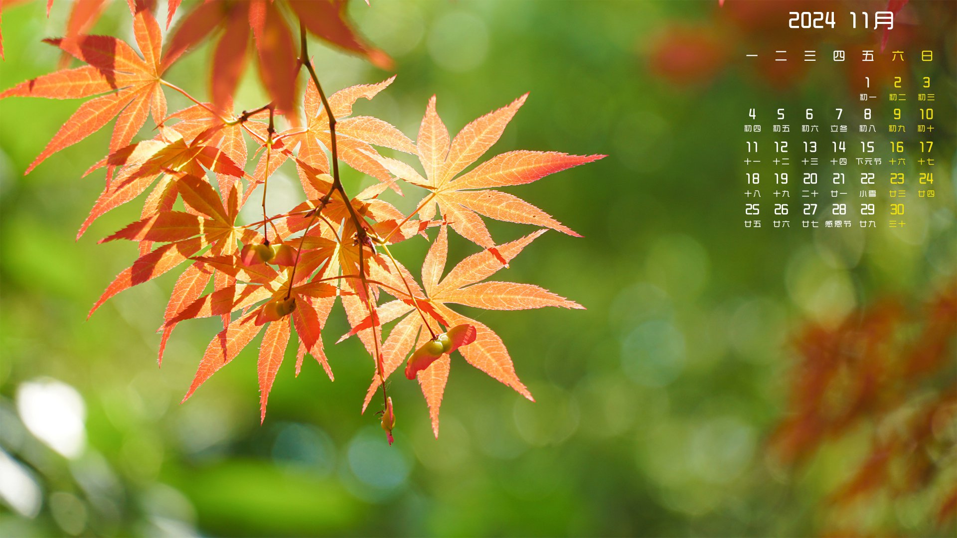 月历壁纸,11月,月历