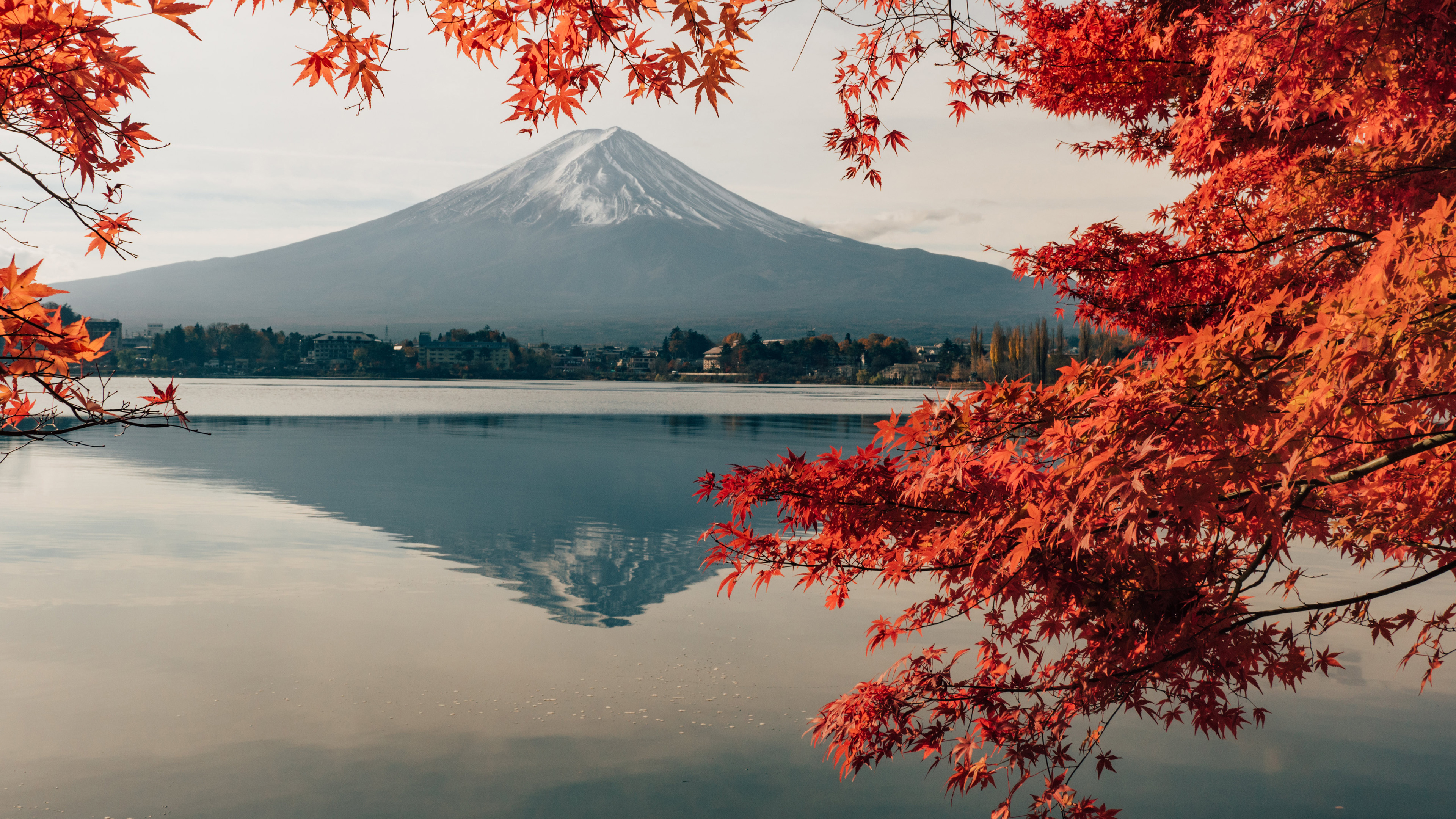 风景大片,秋意正浓,火山,枫叶,富士山