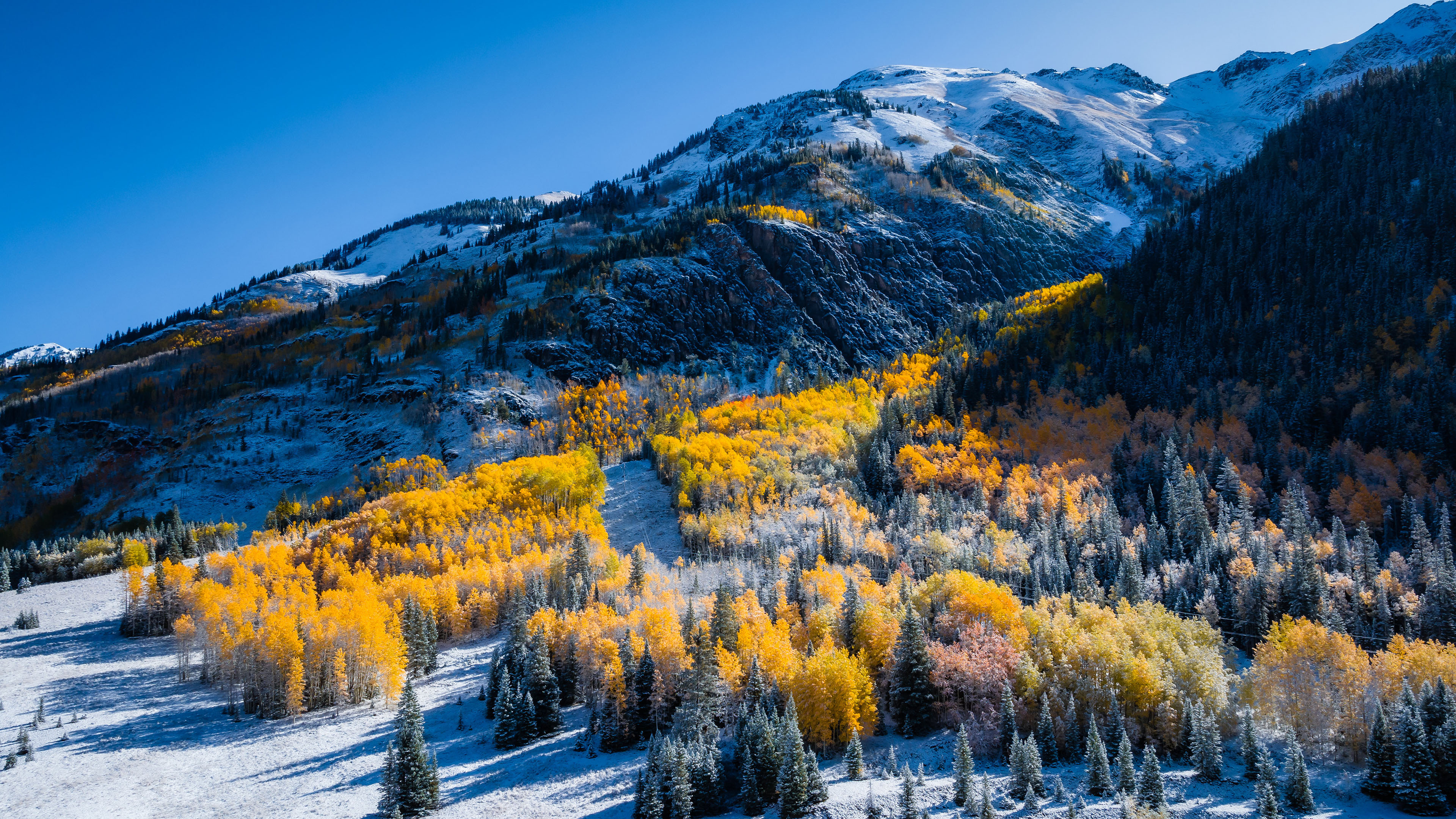 风景大片,冰天雪地,树林,山坡