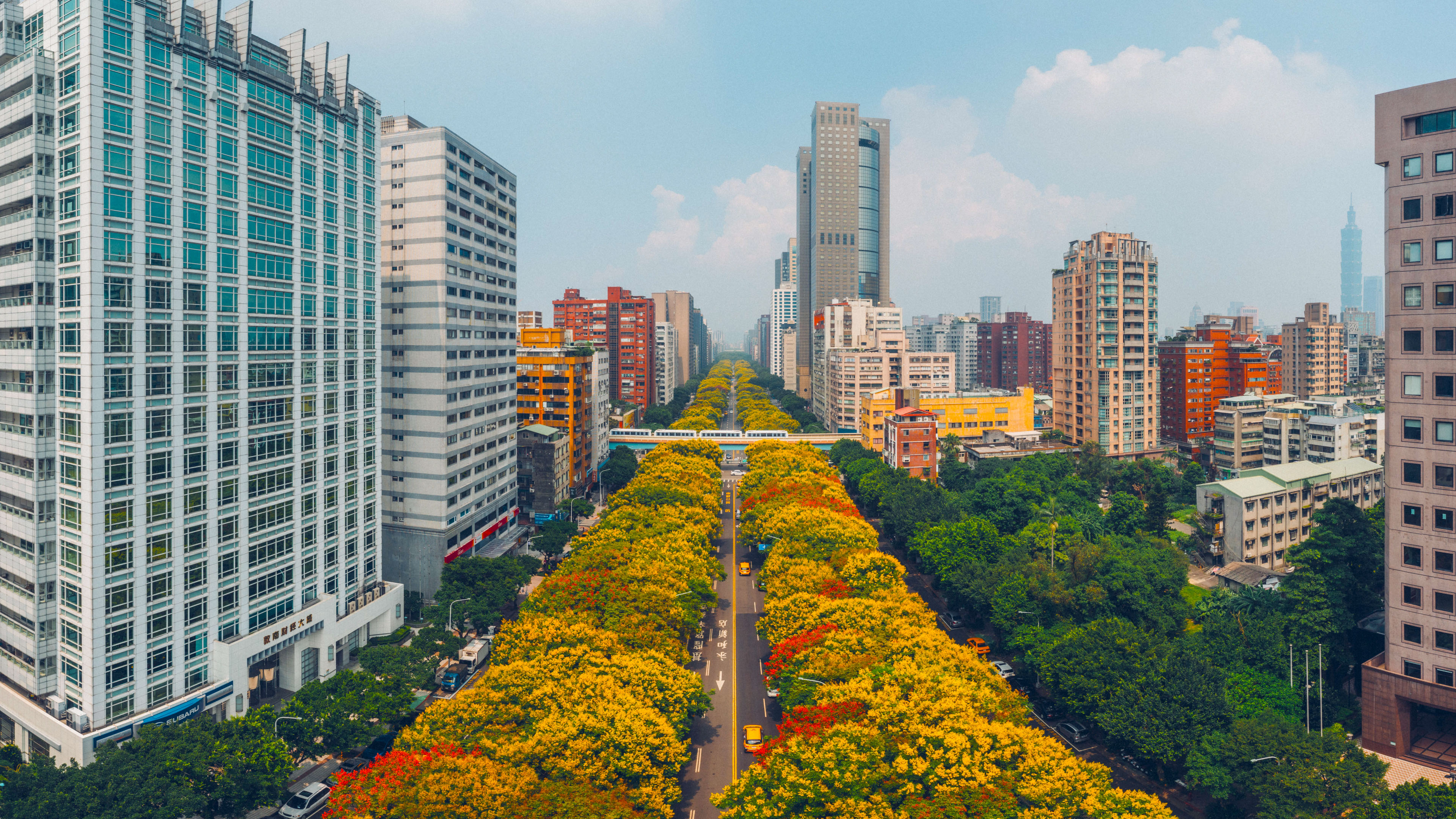 风景大片,城市,街道,台北