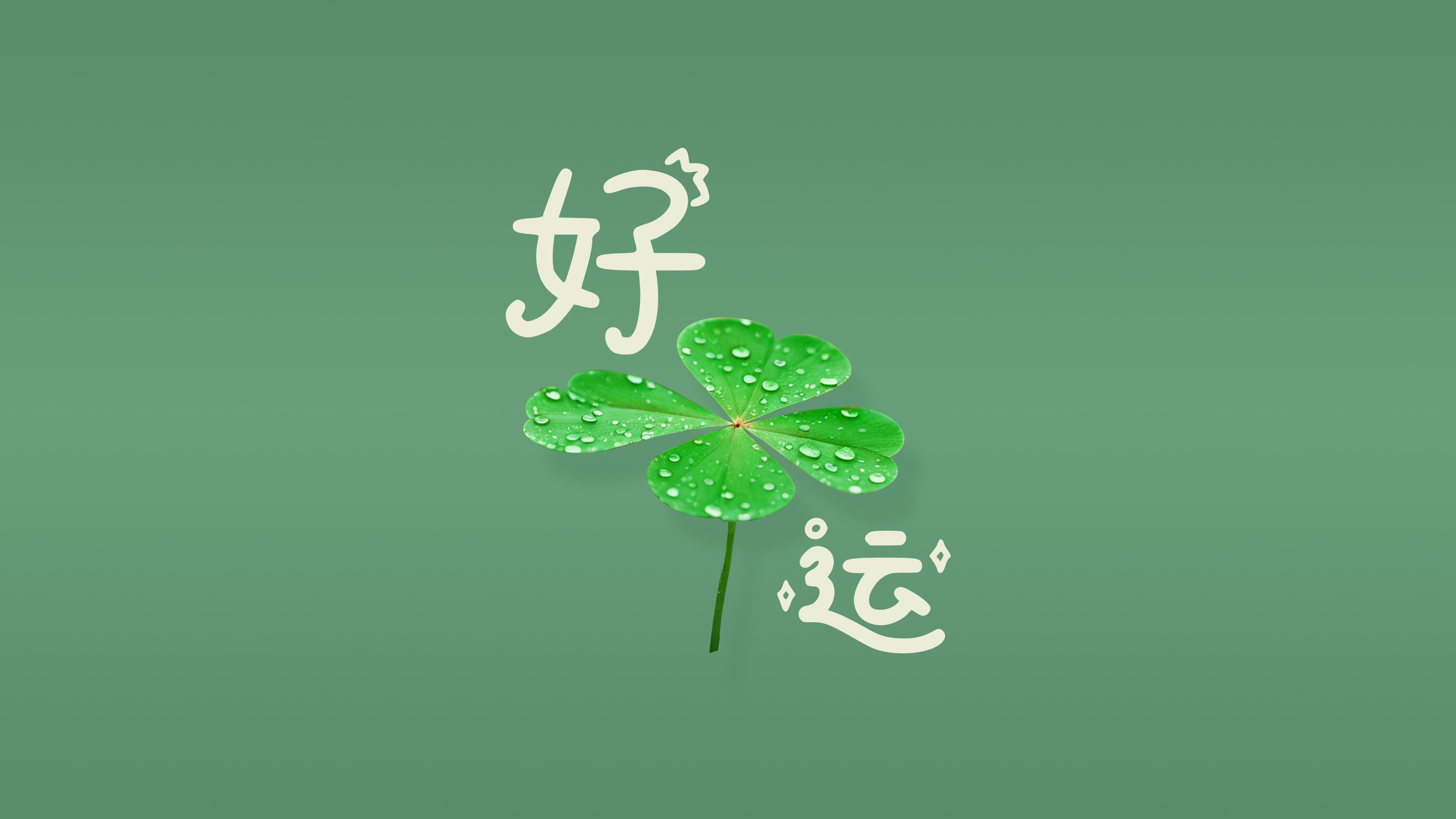 文字控,好运,四叶草