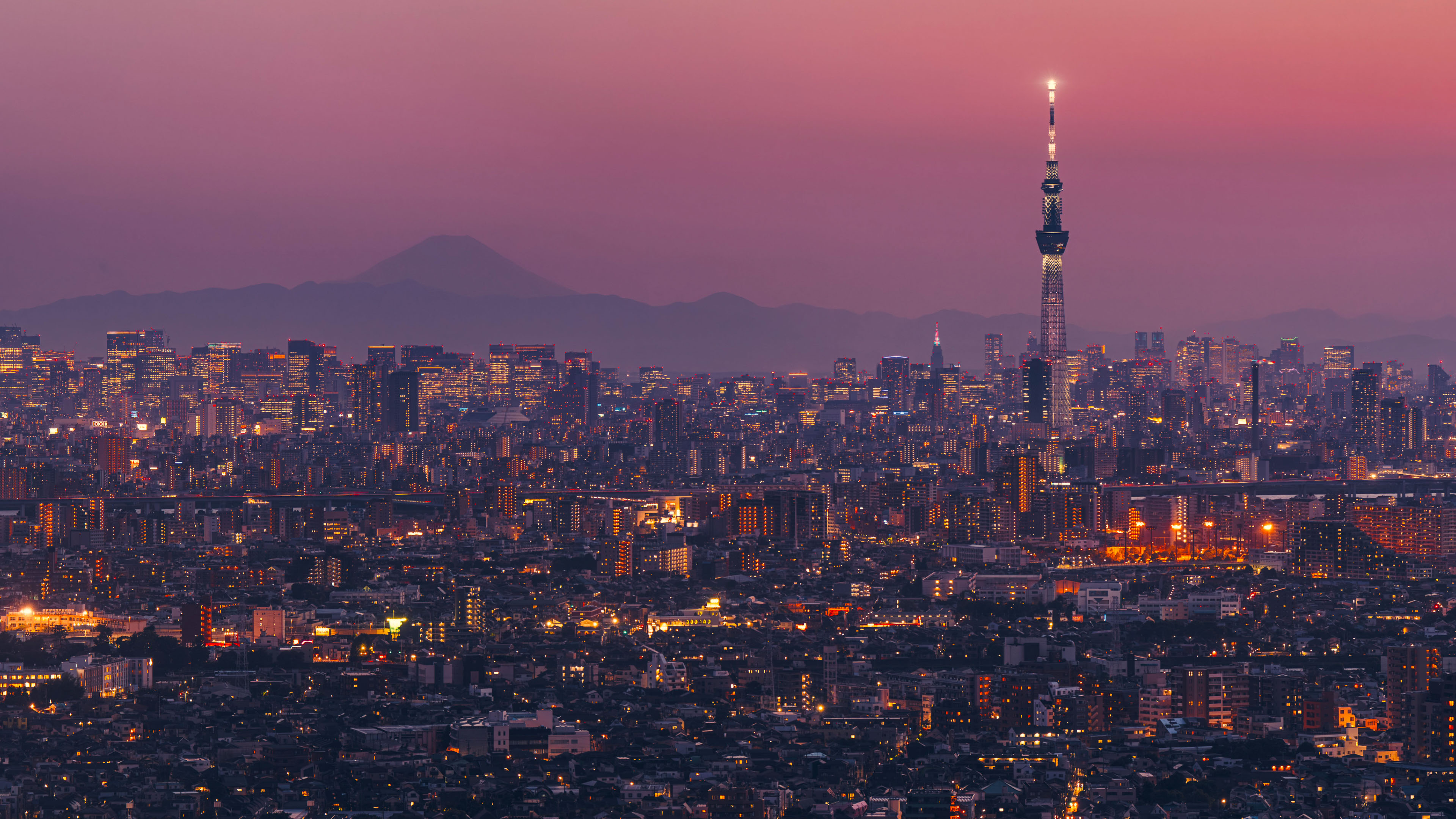 风景大片,城市夜景,东京,亚洲,富士山
