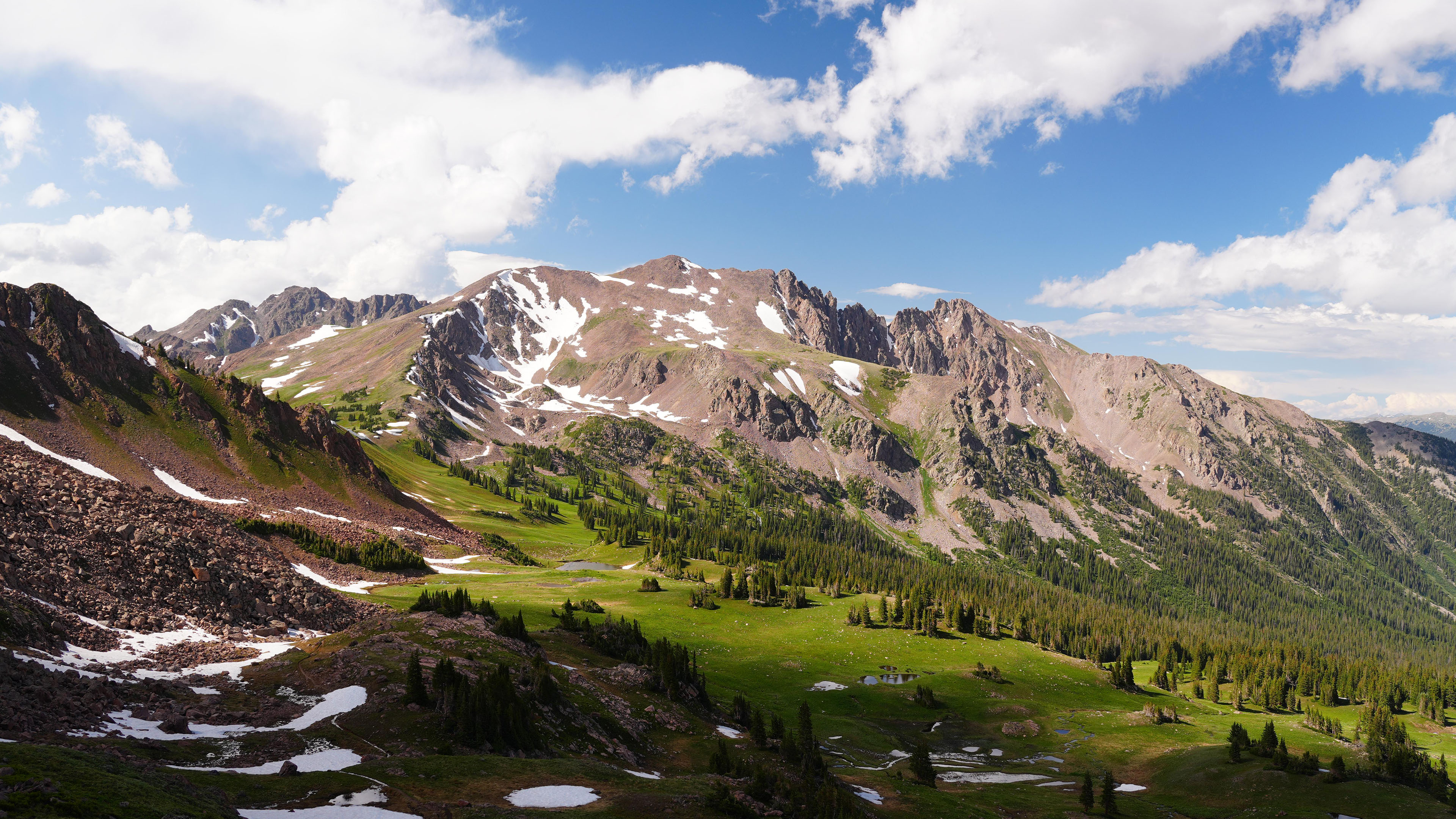 风景大片,自然风光,山坡,树林,雪山