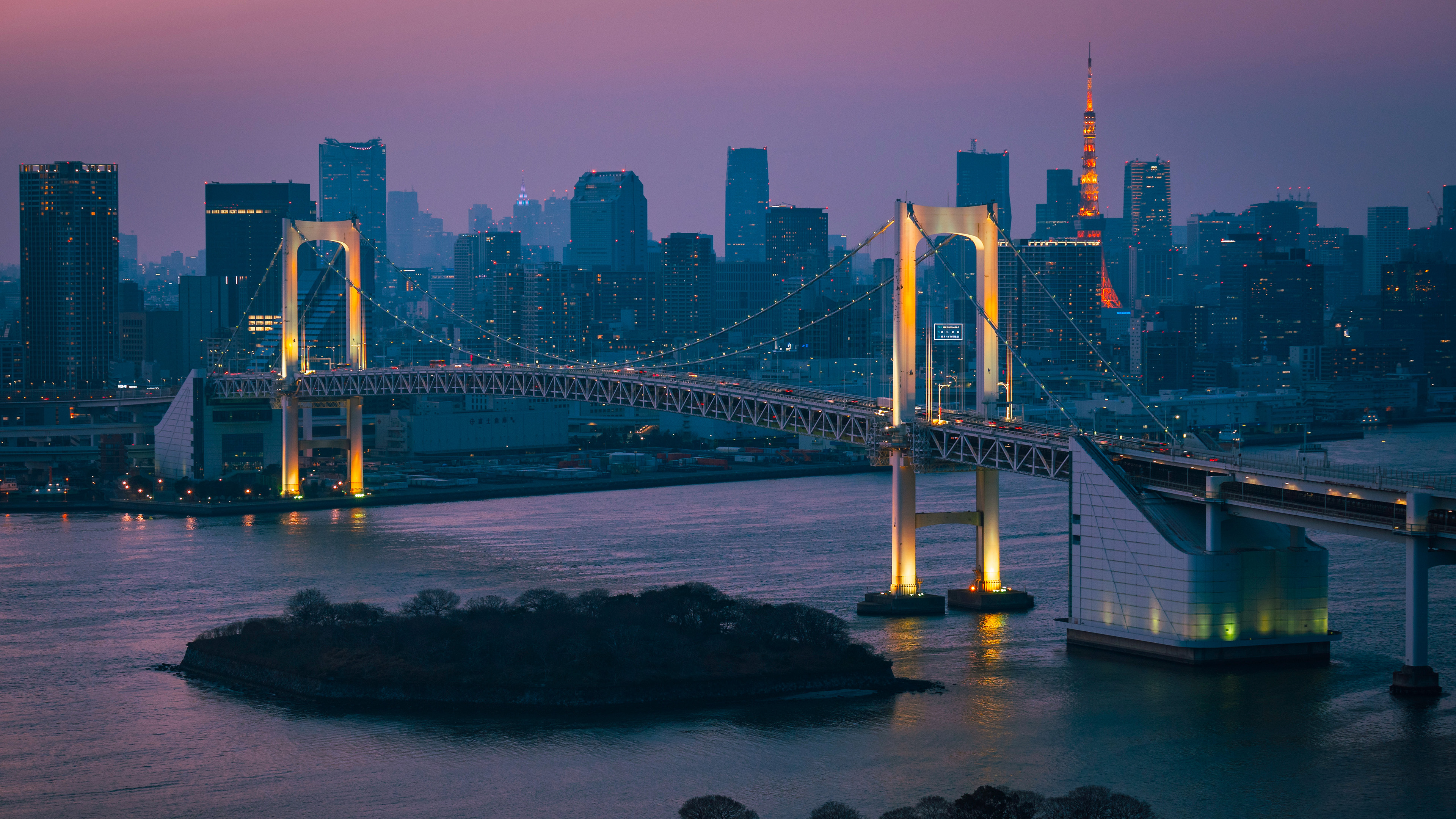 风景大片,城市夜景,跨海大桥,东京塔