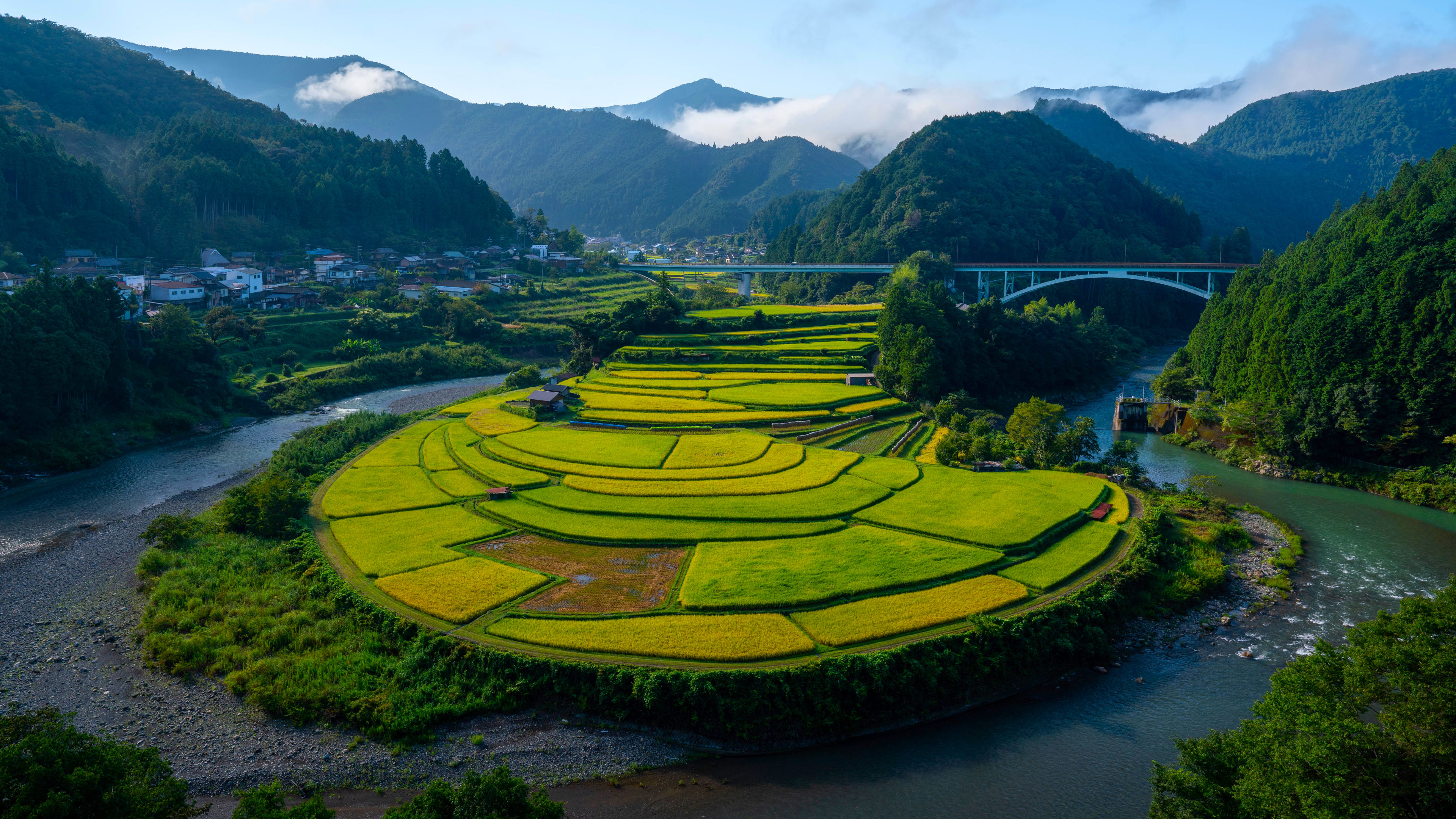 风景大片,自然风光,稻田,乡村
