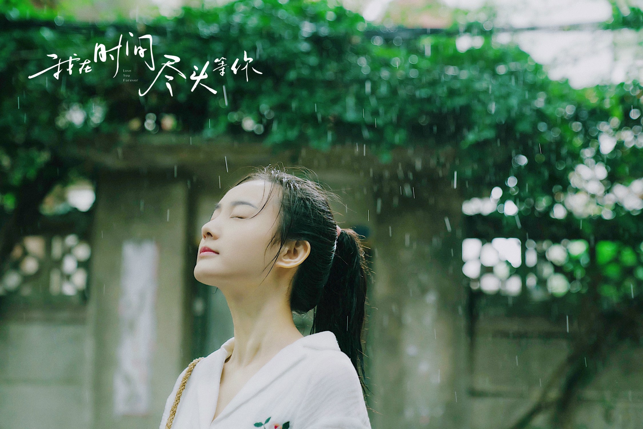 我在时间尽头等你,,李鸿其,,李一桐