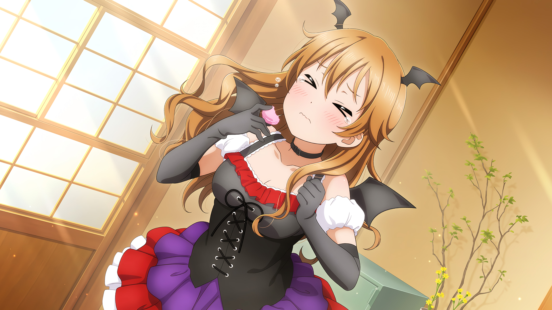 Love,Live!,动漫美少女