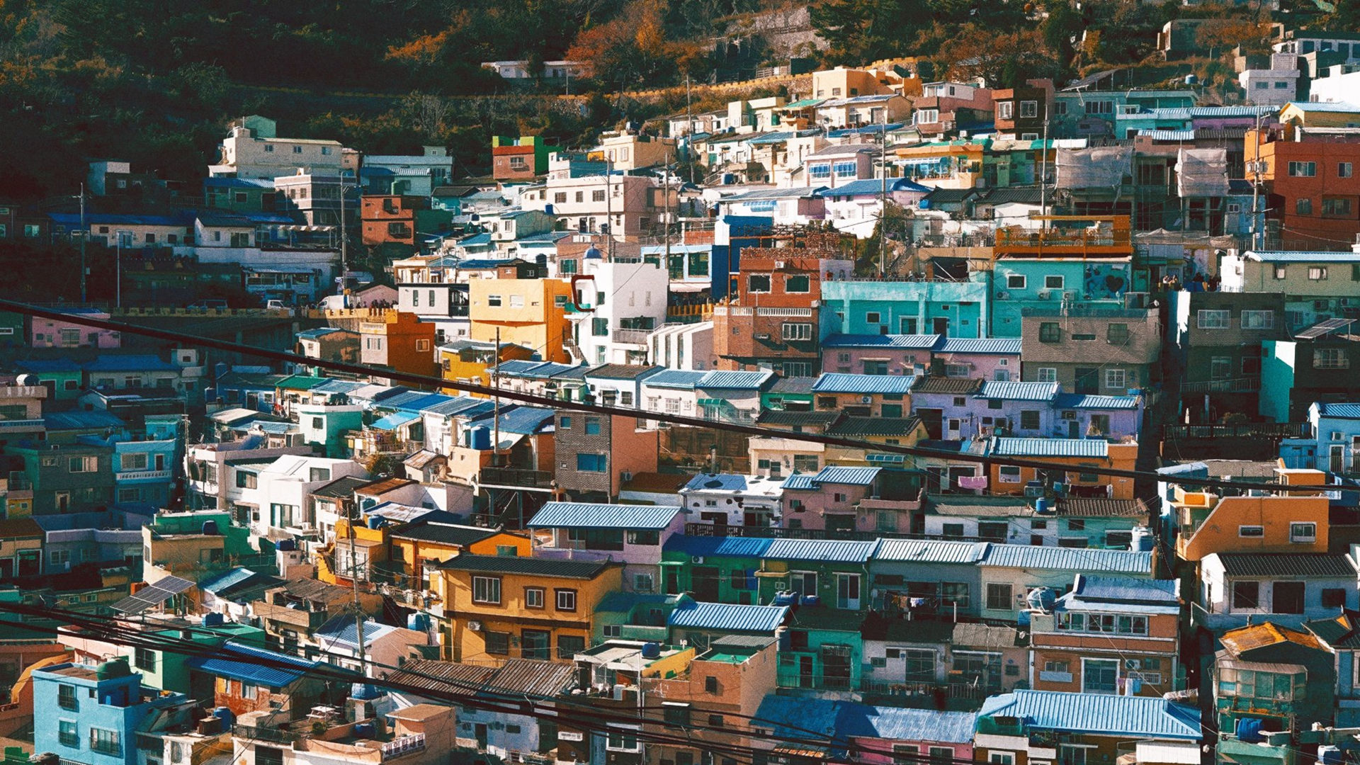 建筑群落,山坡,小镇,密集