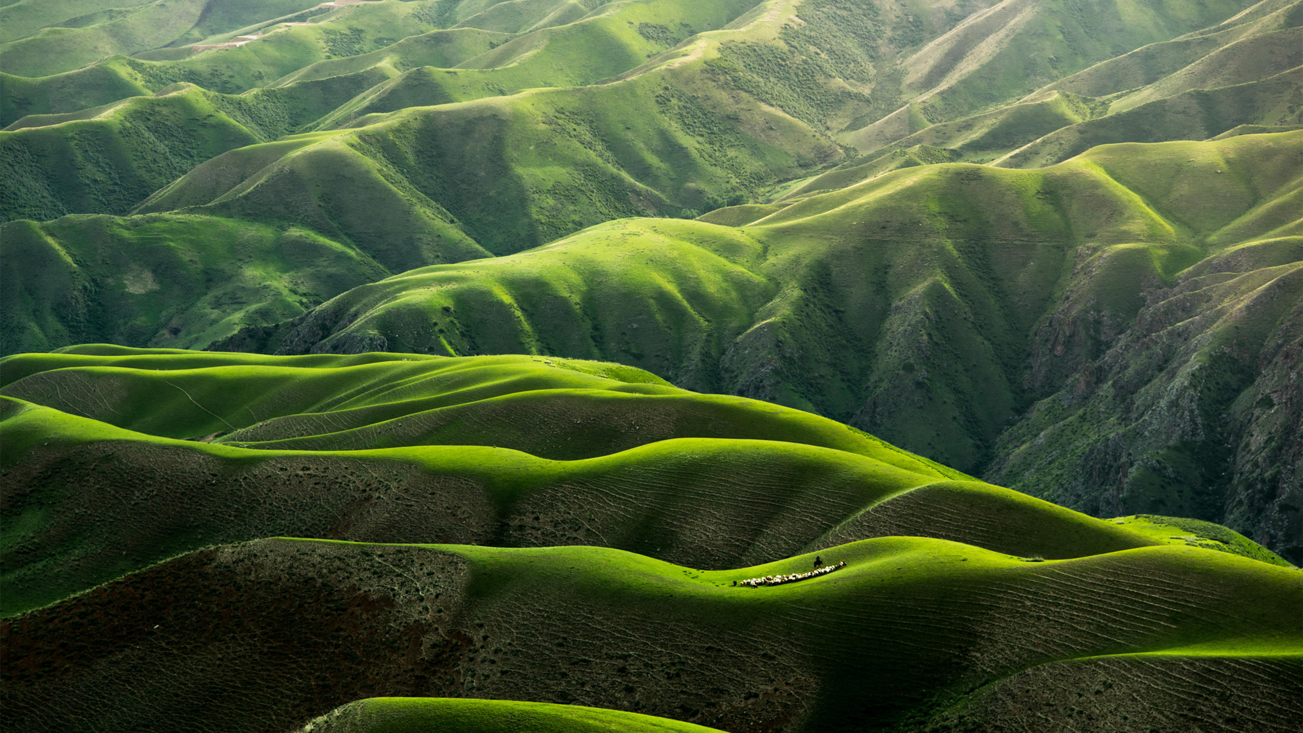 自然风光,丘陵,山坡,绿色,山脉