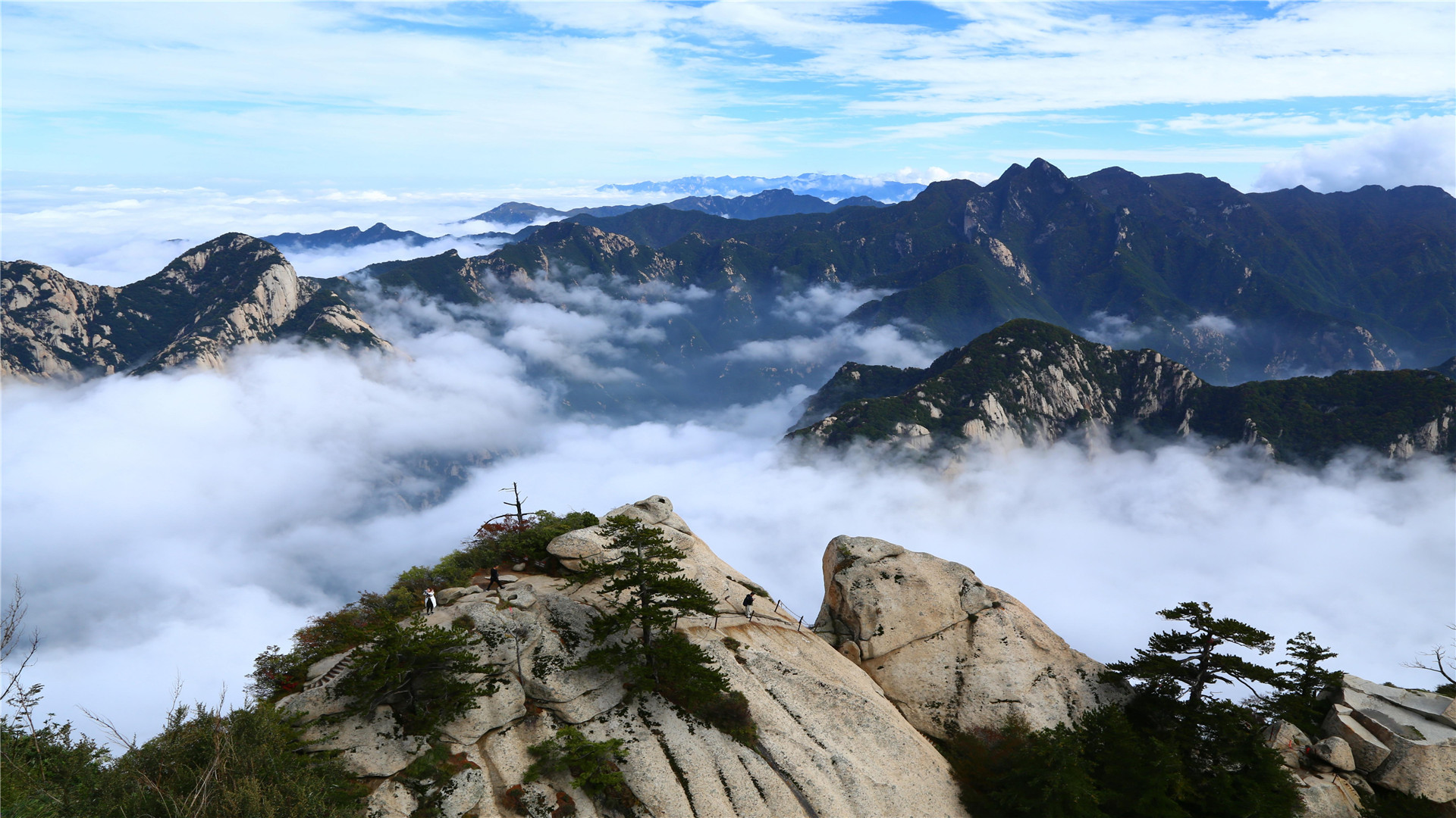 自然风光,华山,,云海,,奇观风景,