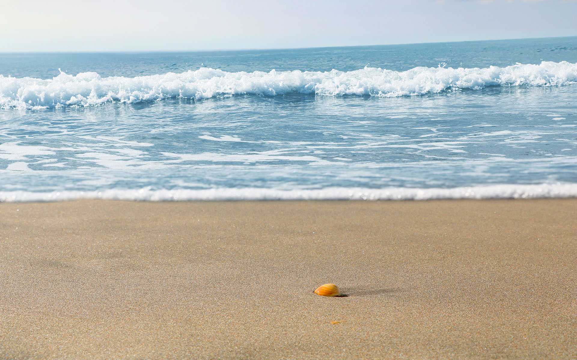 海洋天堂,布拉瓦,海洋,美景,礁石