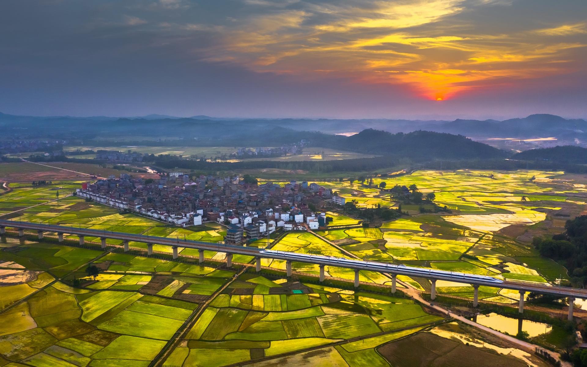 自然风光,,江西,,,唯美,,稻田