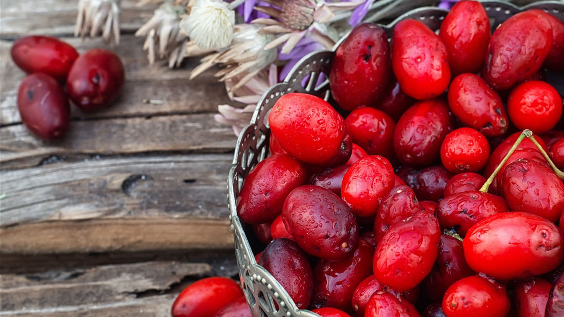 静物写真,,重阳节,,红色,,茱萸,
