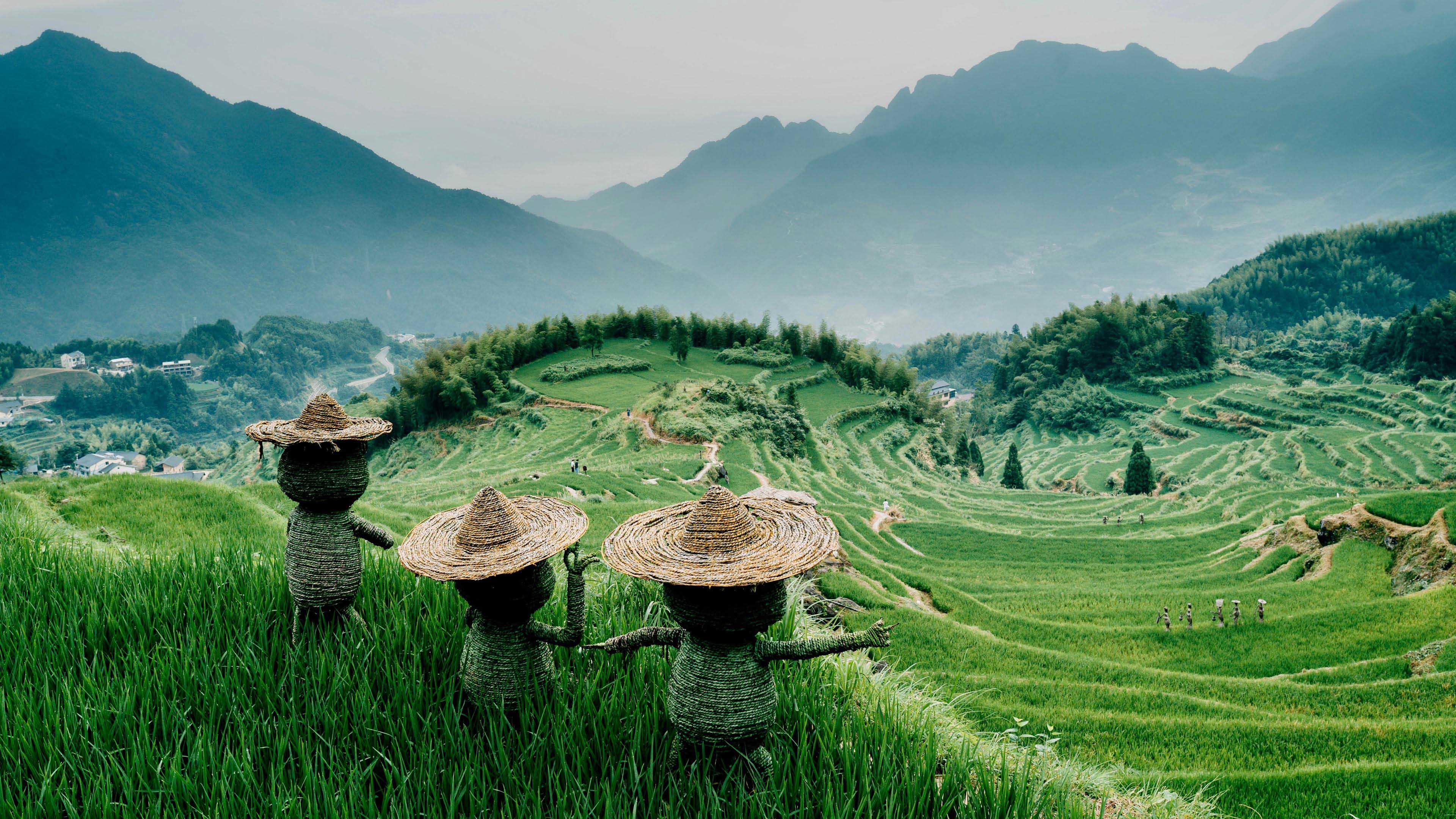 云和梯田,,清新绿色