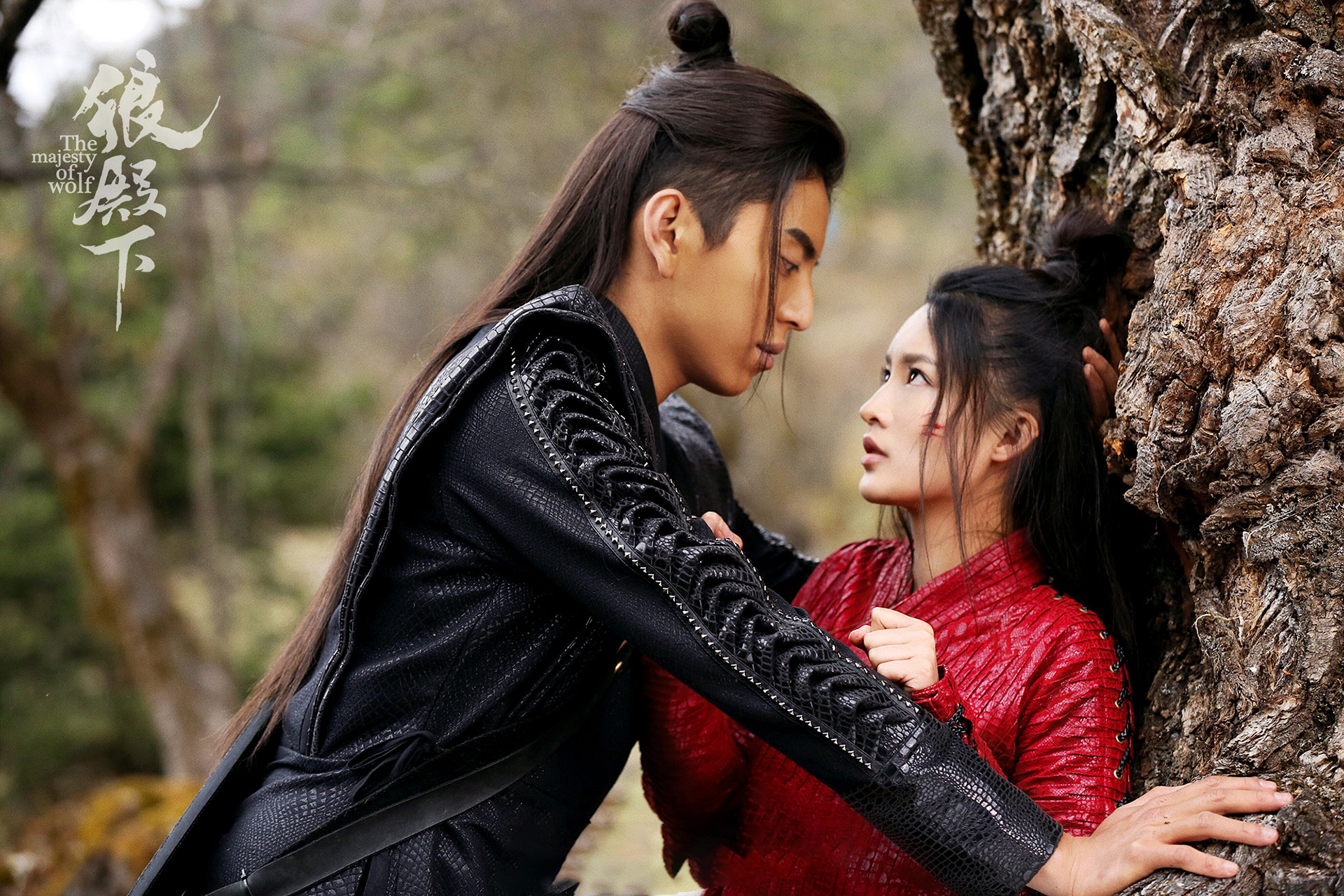 影视剧照,,狼殿下,,王大陆,,李沁,,肖战