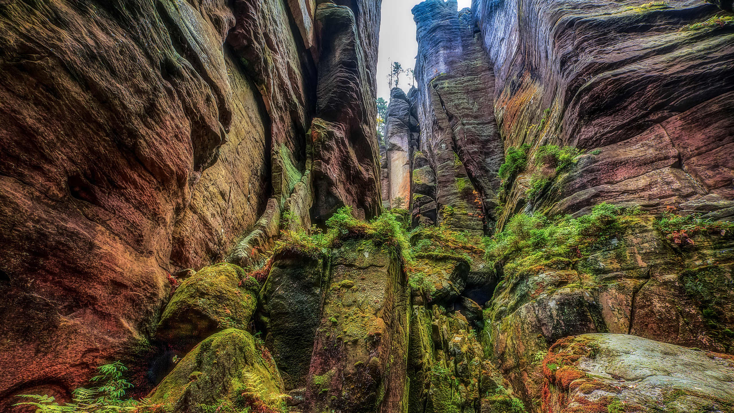自然风光,山石,青苔,峡谷