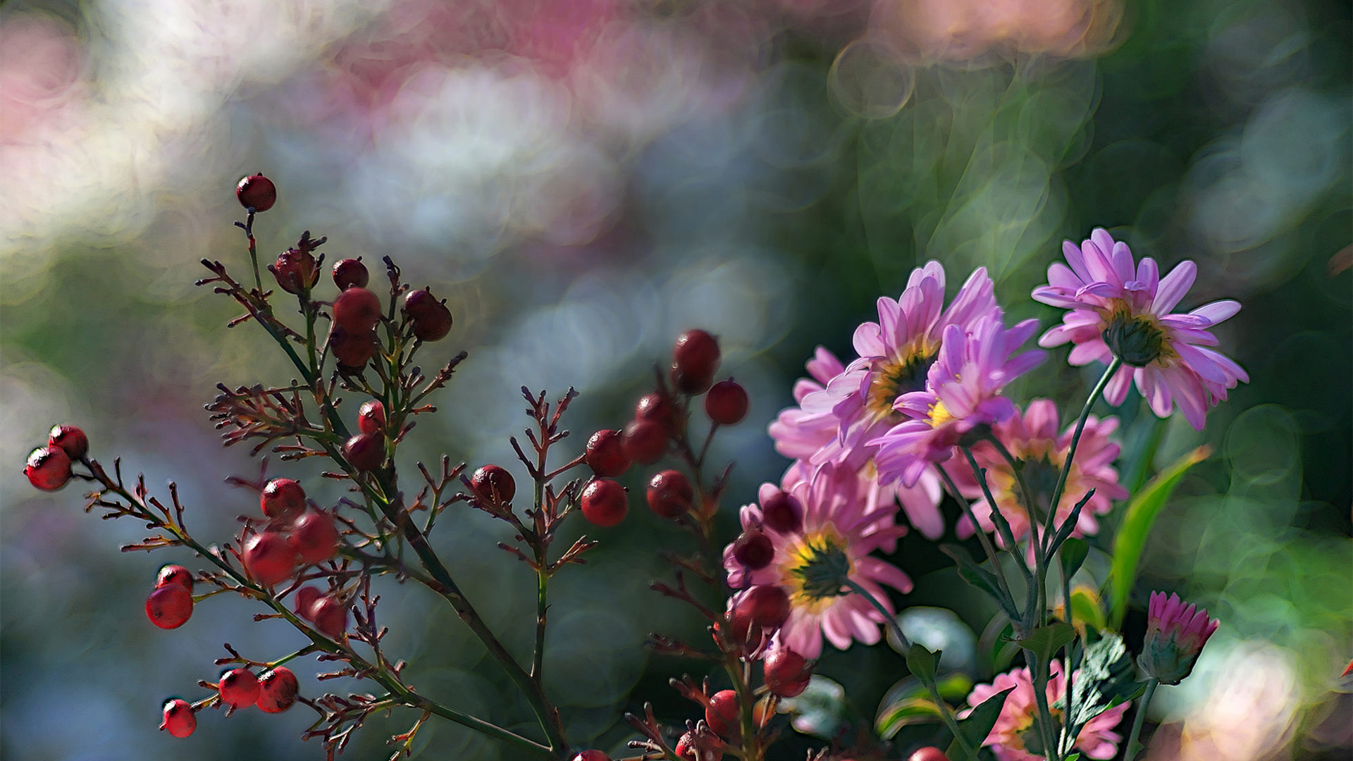 娇艳欲滴,野花,果实,油画