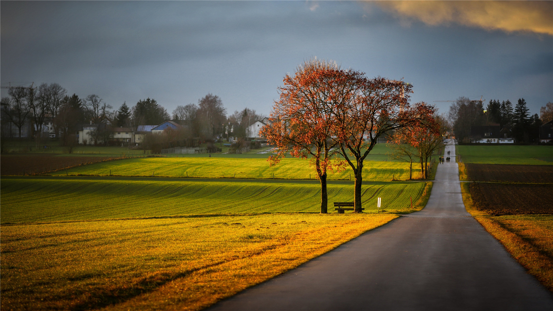 秋意正浓,公路,村庄,平原,草坪