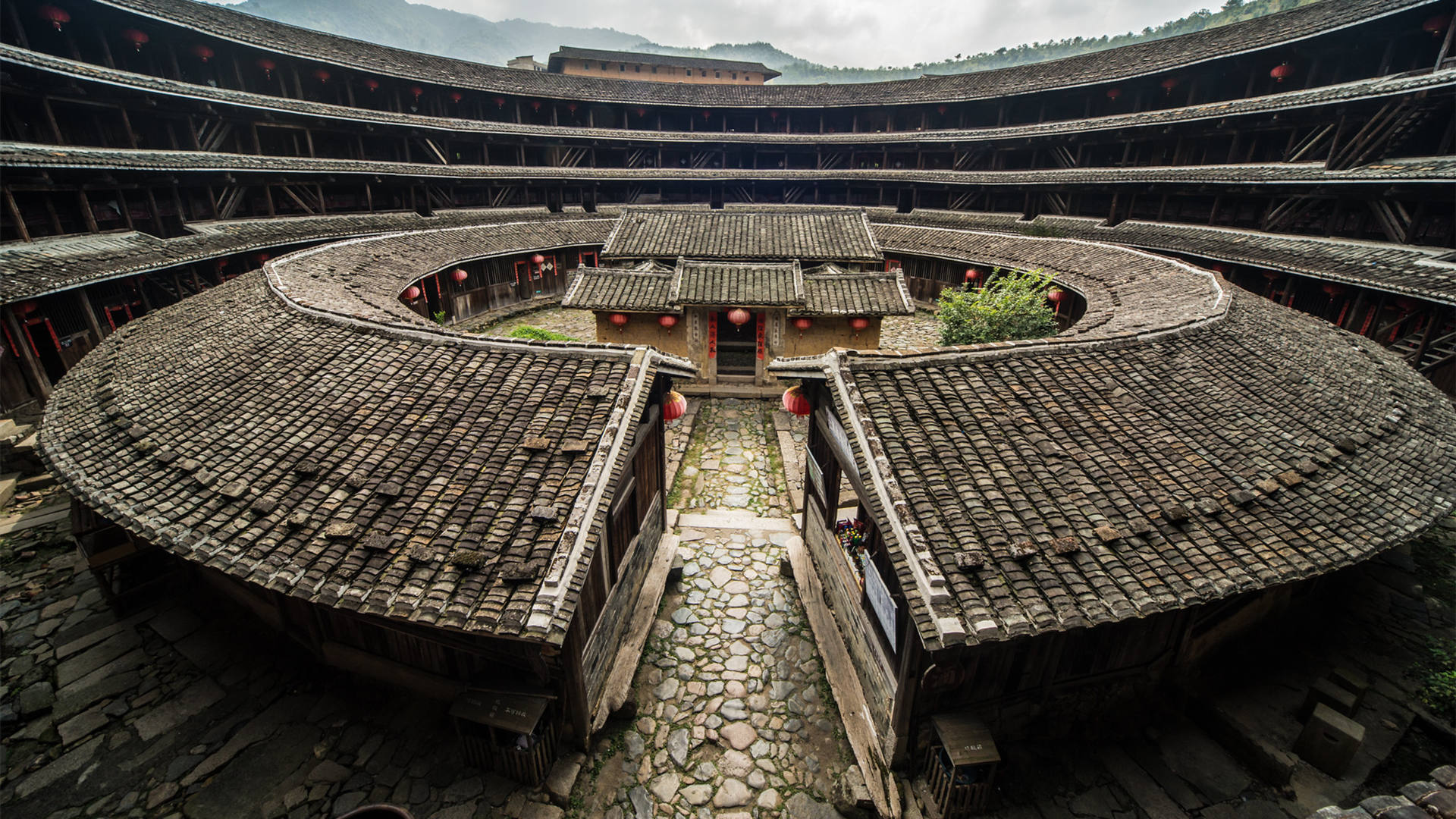 静物写真,祠堂,家族,庭院