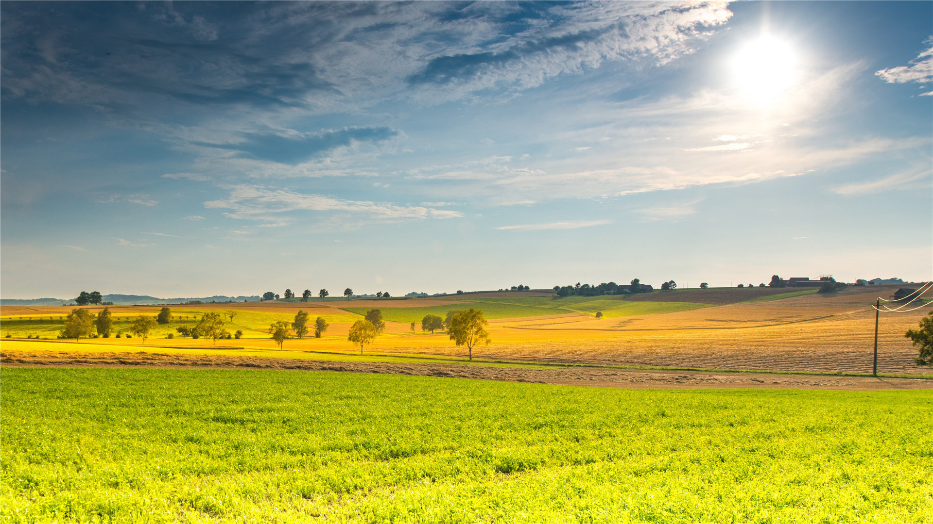 落日余晖,草原,太阳,深秋