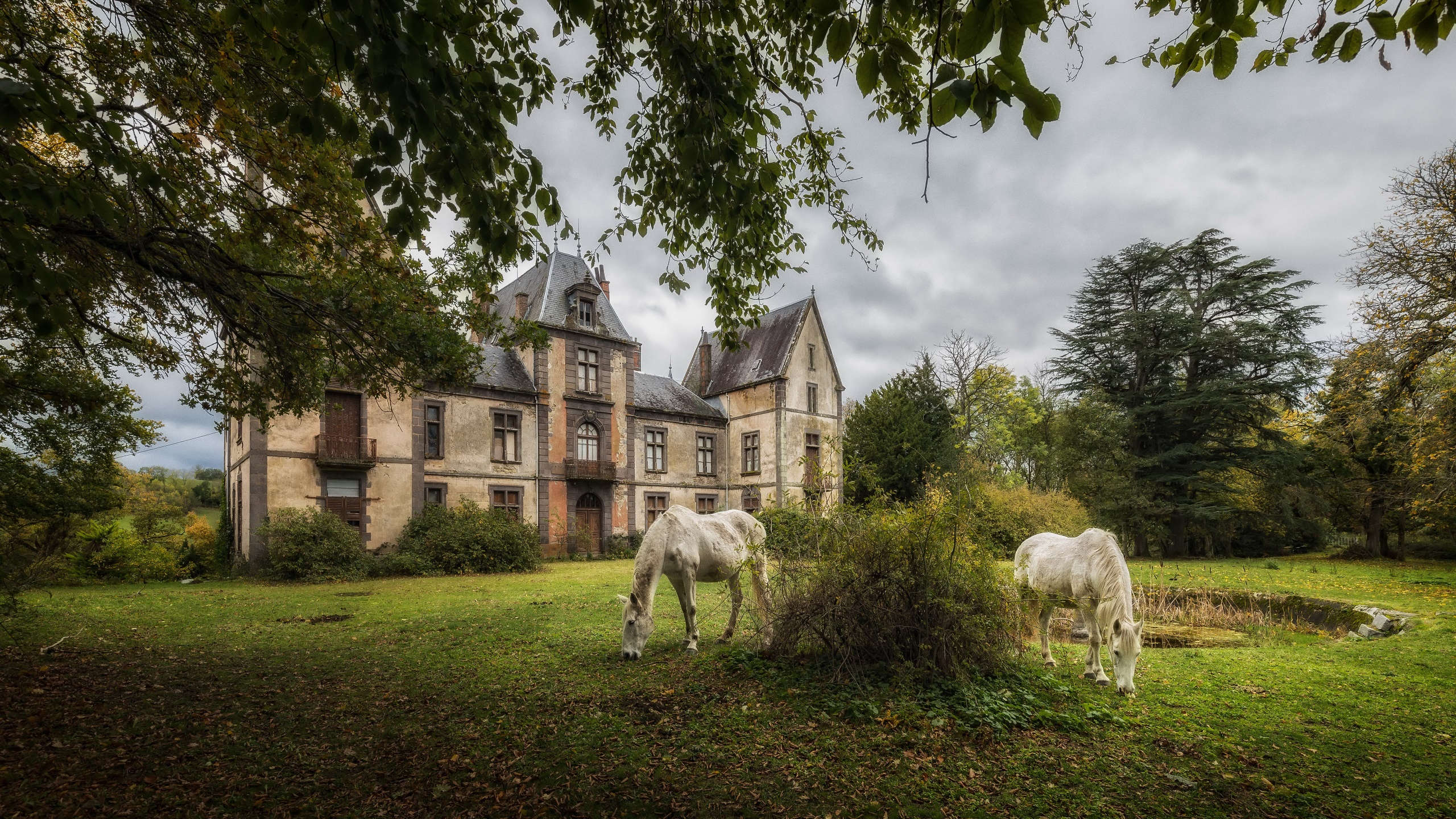 庄园,城堡,白马,草地,阴天