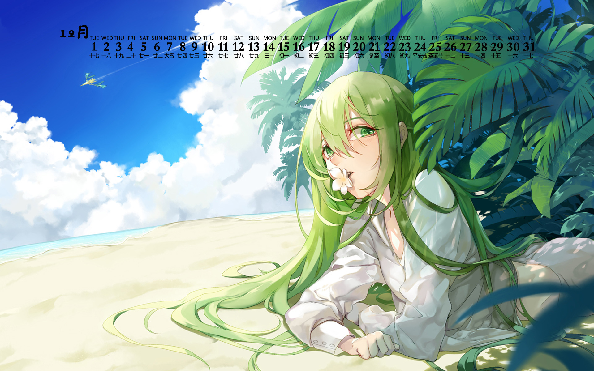 2020年12月,海滩,花朵,二次元,树丛