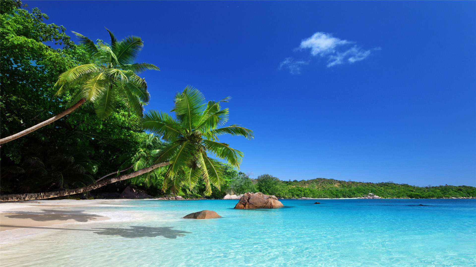 海洋天堂,椰树,海滩,白沙滩,蓝天