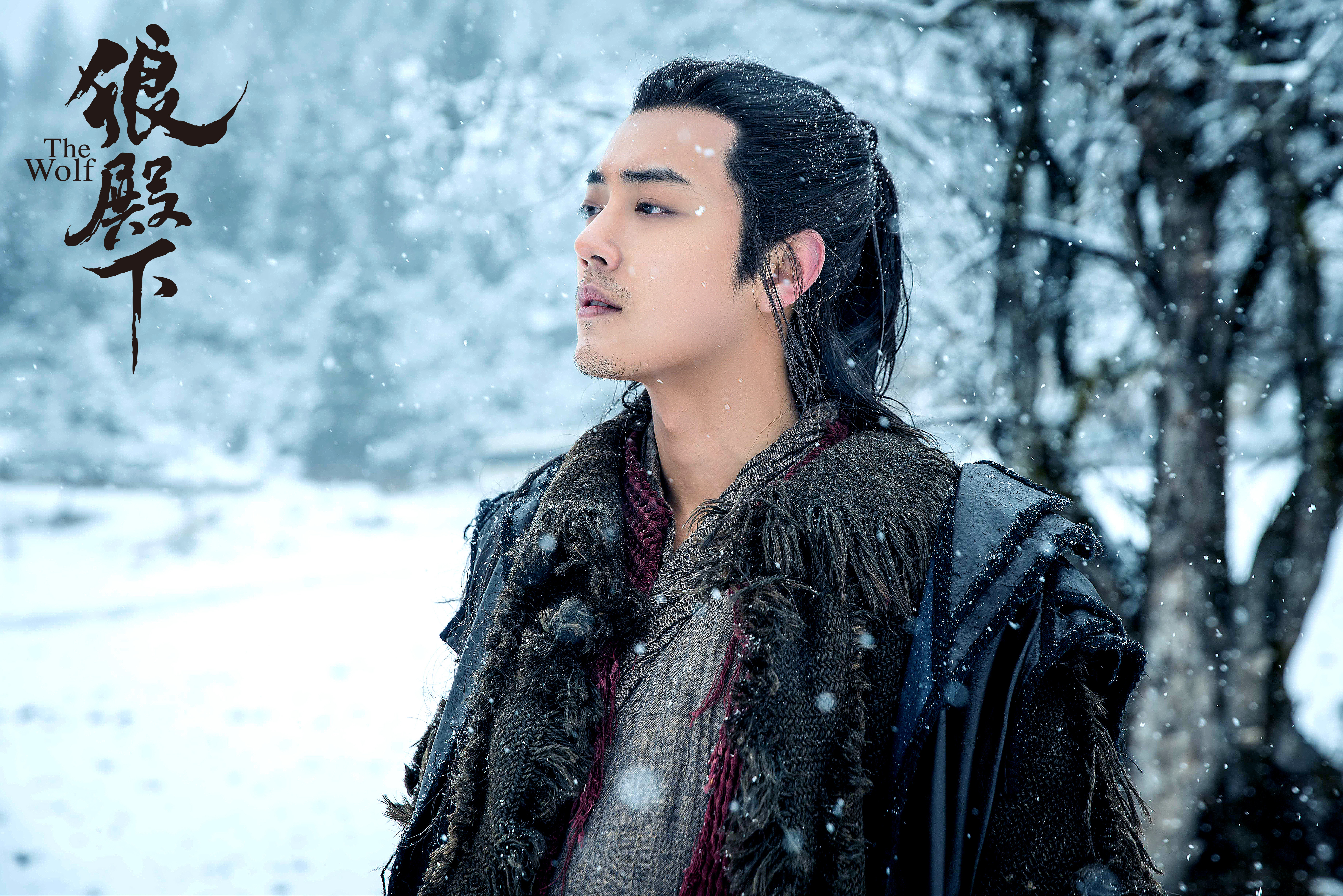 影视剧照,,狼殿下,,王大陆,,李沁,,肖战