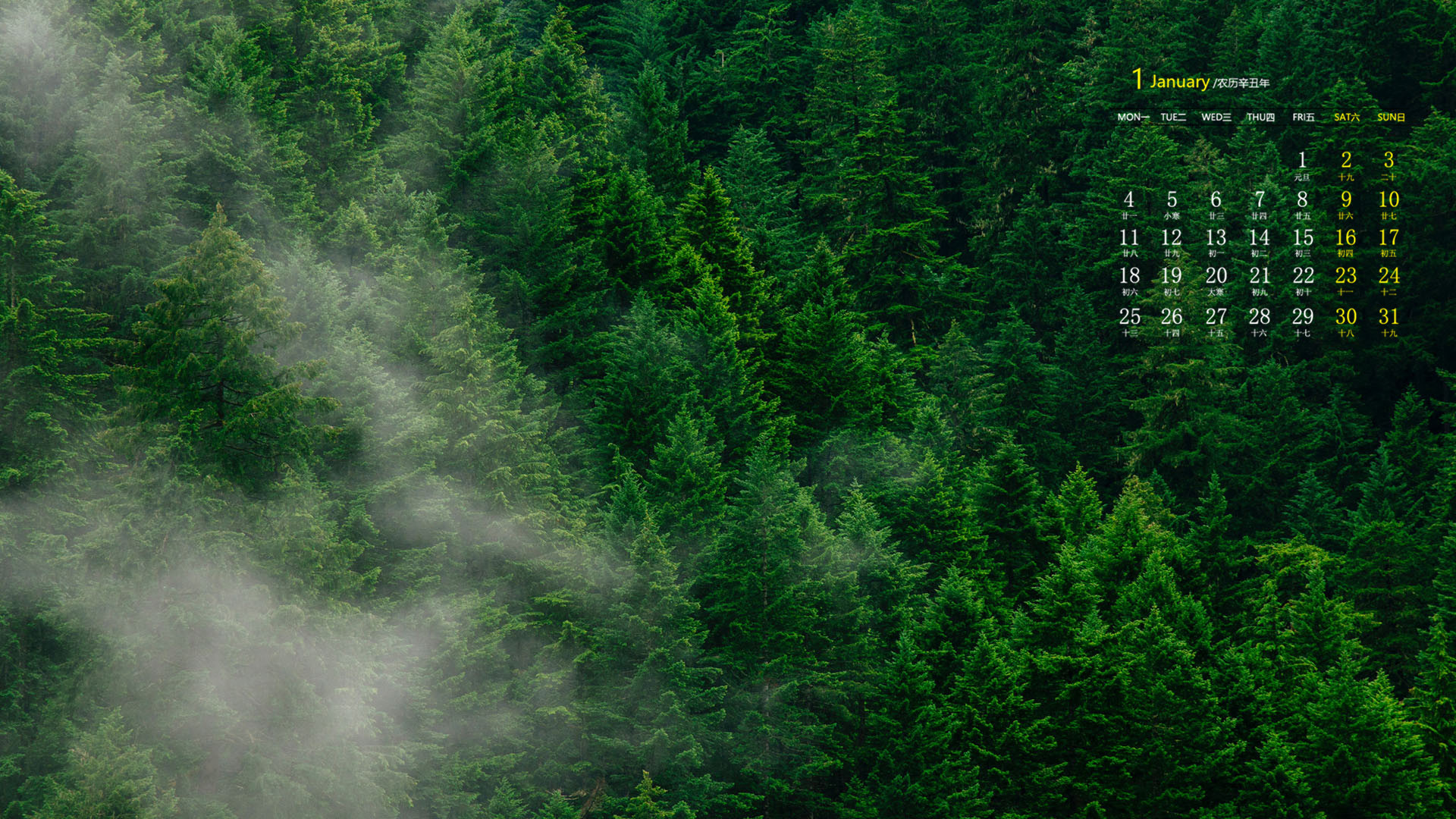 月历,日历,2021年1月