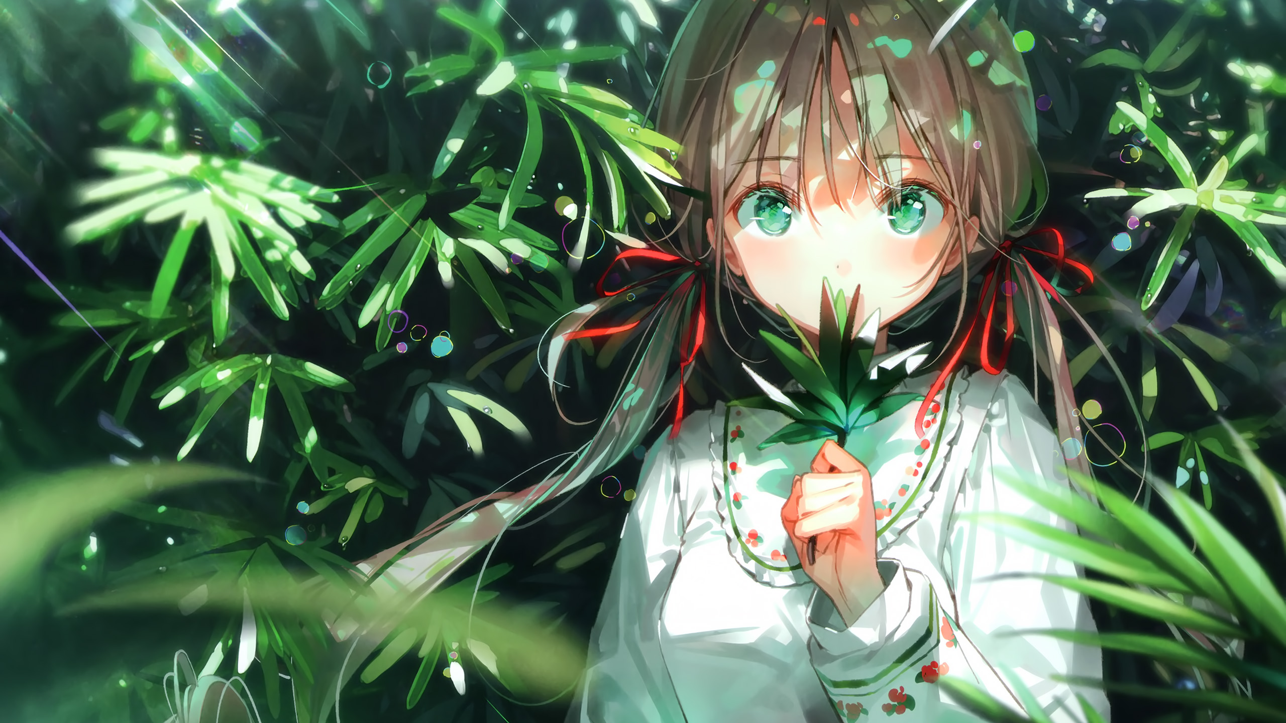 卡通人物,树林,花园,阳光