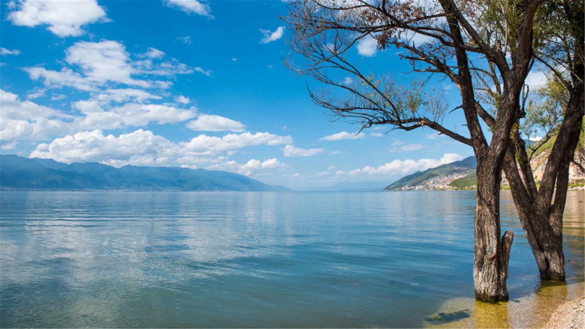 蓝天白云,湖,纯净,圣地