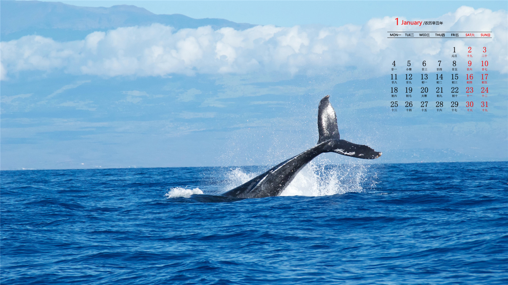 月历,日历,2021年1月