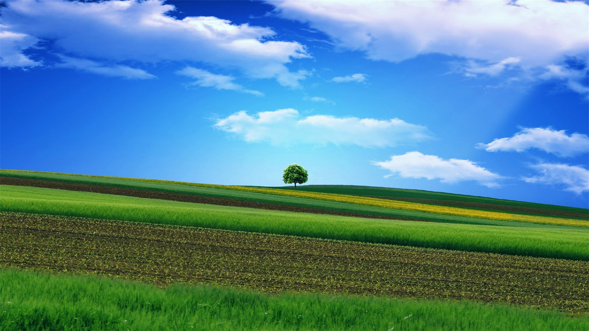 蓝天白云,草原,草地,云朵