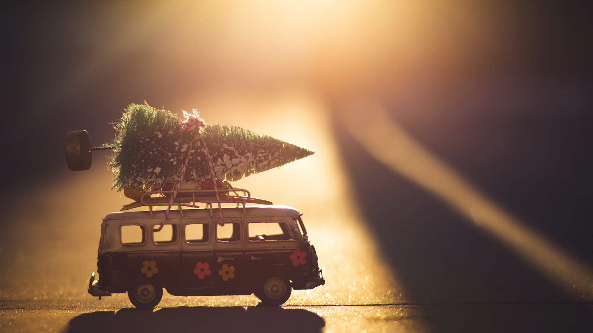 静物写真,圣诞树,BUS,客车,阳光,温馨