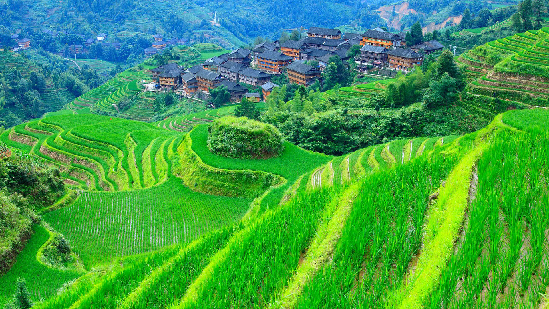 炎炎夏日,梯田,农村,村庄