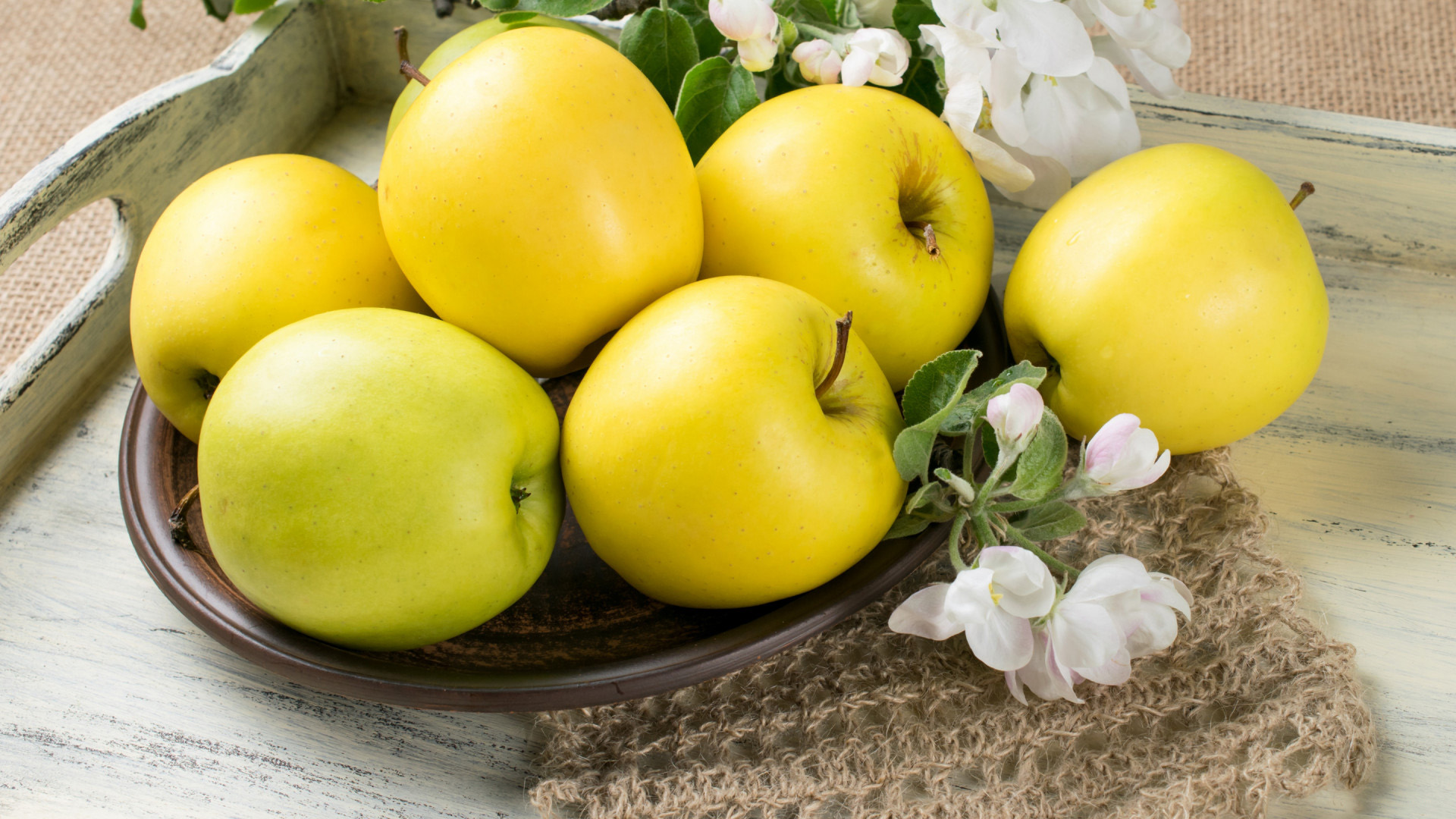 动感水果,苹果,梨子,鲜花