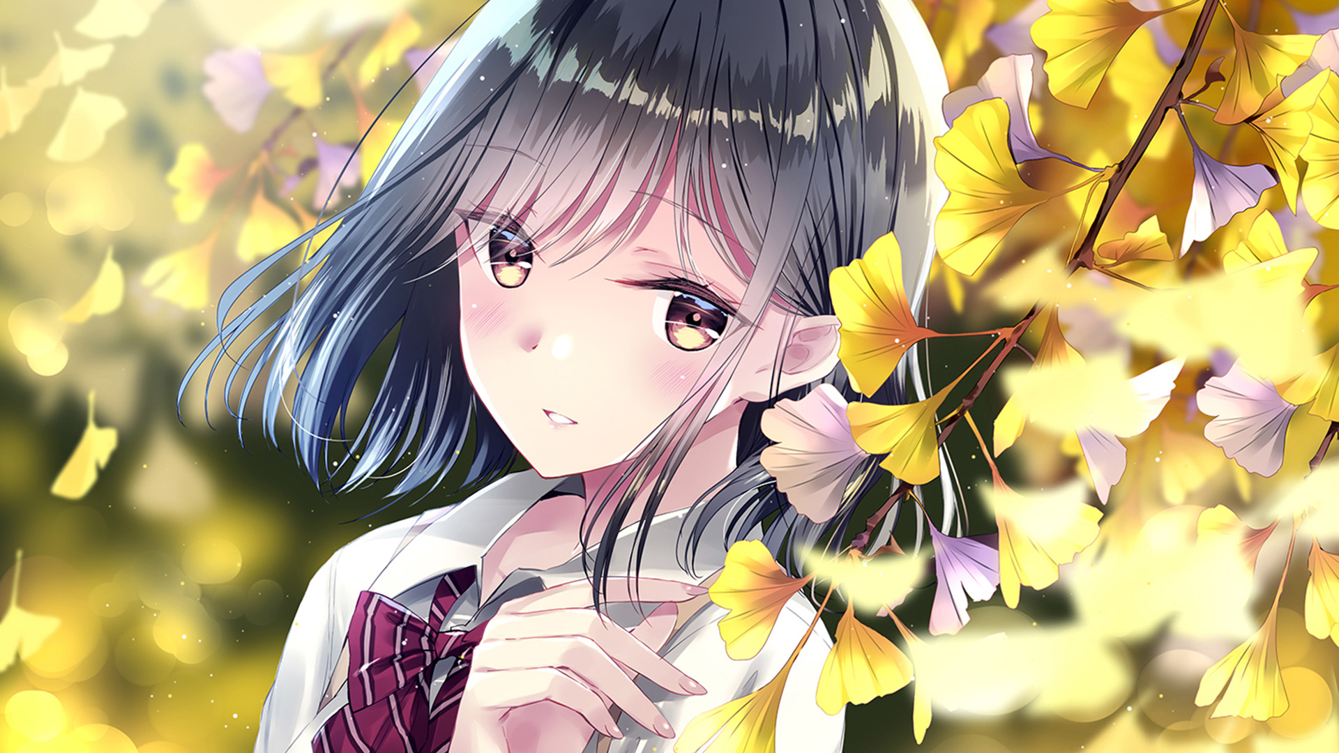 二次元,学妹,银杏,蝴蝶结