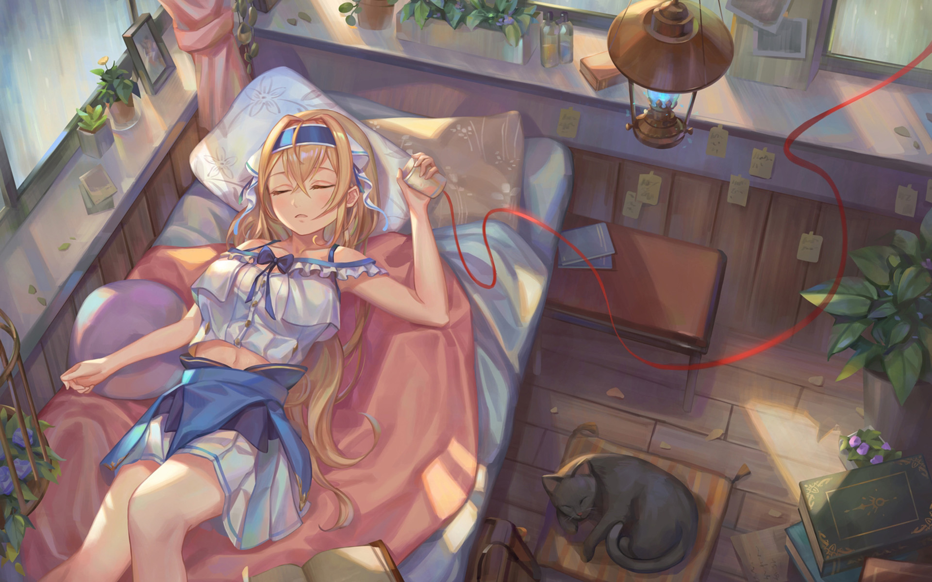 二次元,猫,午睡,阳光