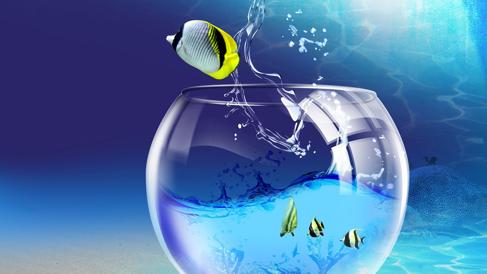 海底世界,热带鱼,神仙鱼,鱼缸