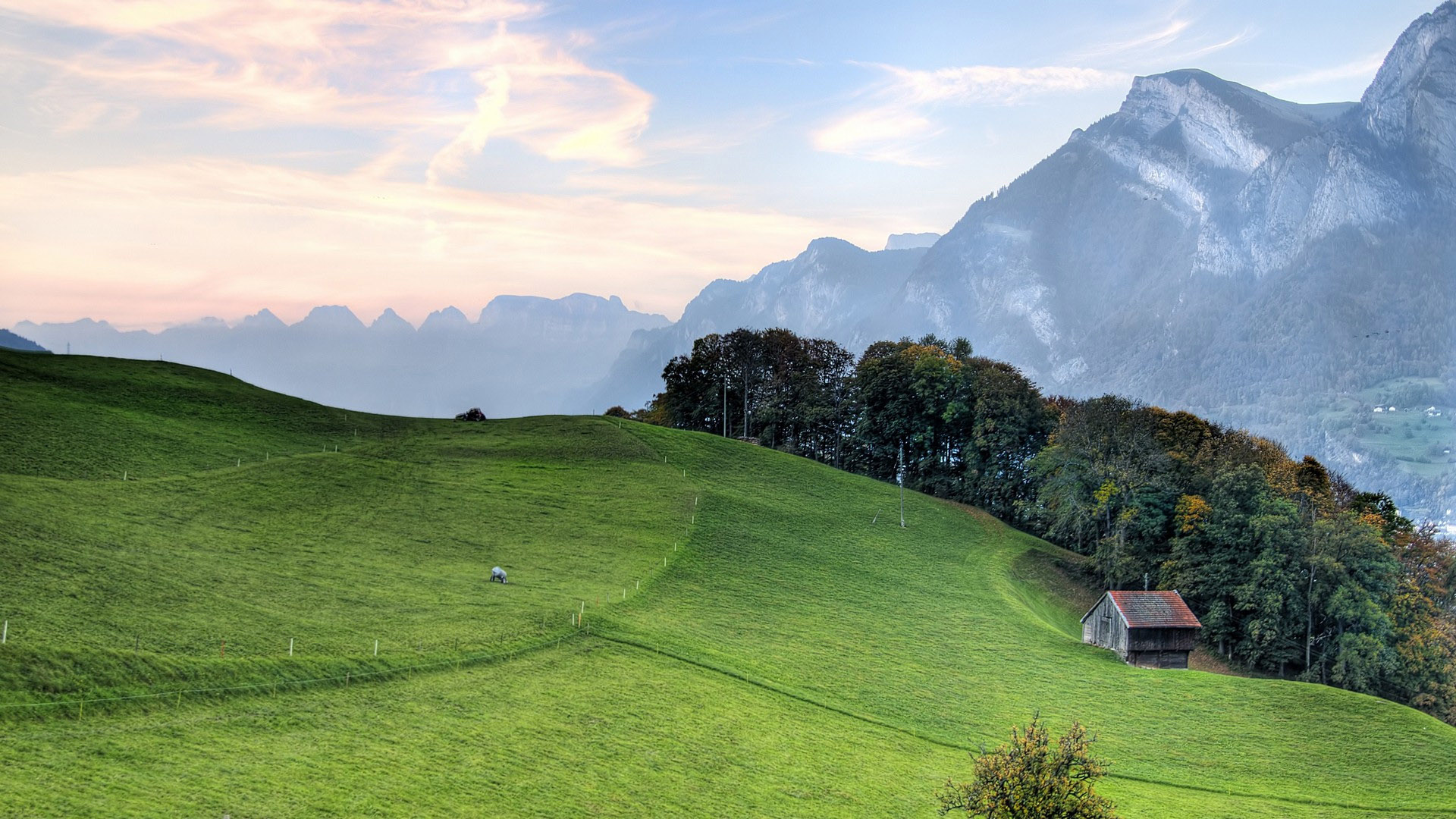 自然风光,阿尔卑斯,草地,小屋,雪山