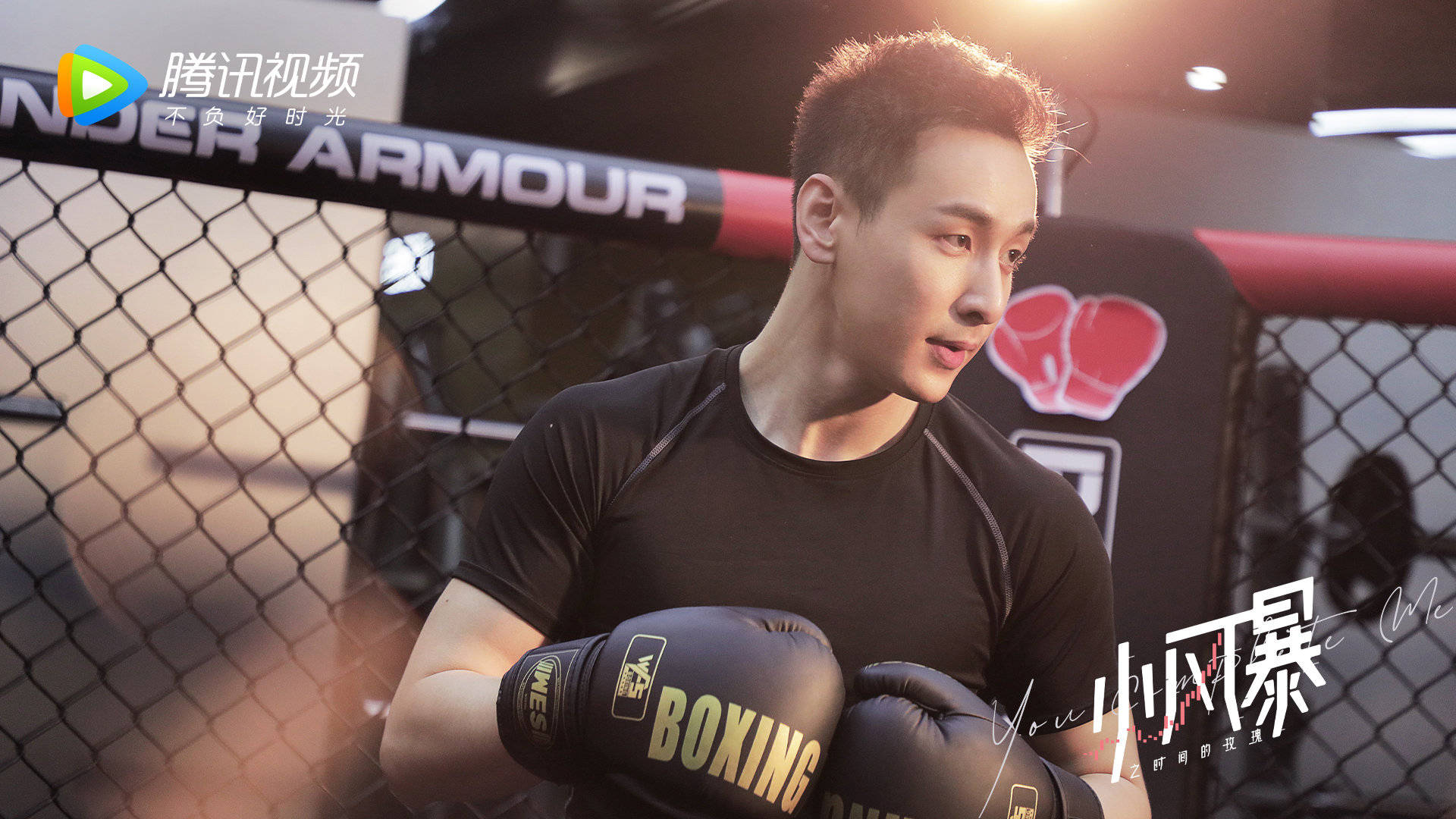 小风暴之时间的玫瑰,,胡一天,,乔欣