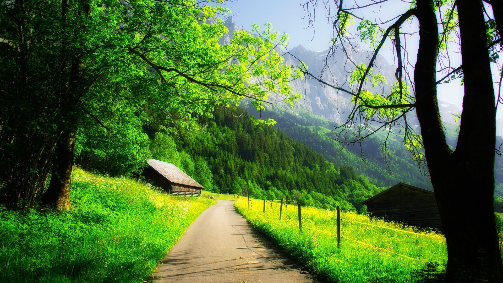 自然风光,半山,山峰,翠绿,山路