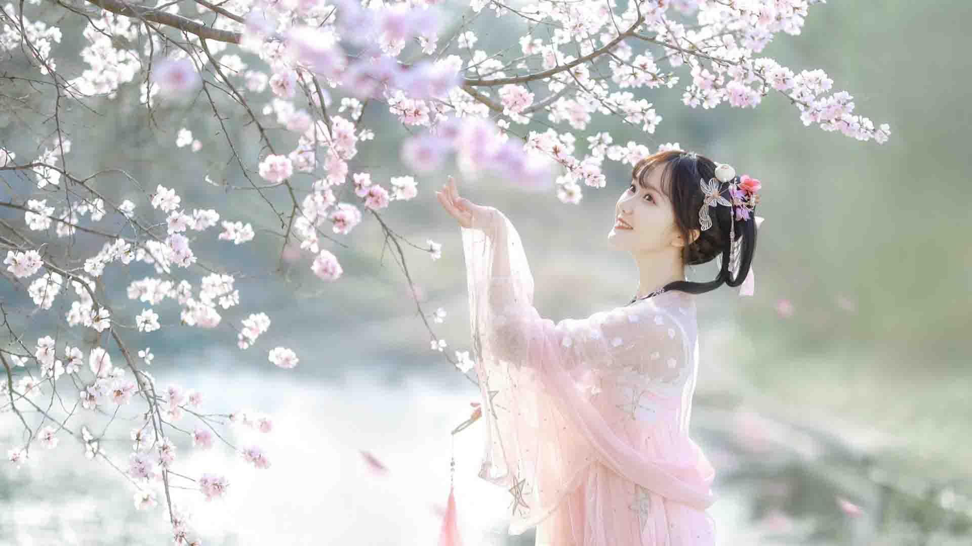 古风文艺,樱花,仙女,古装