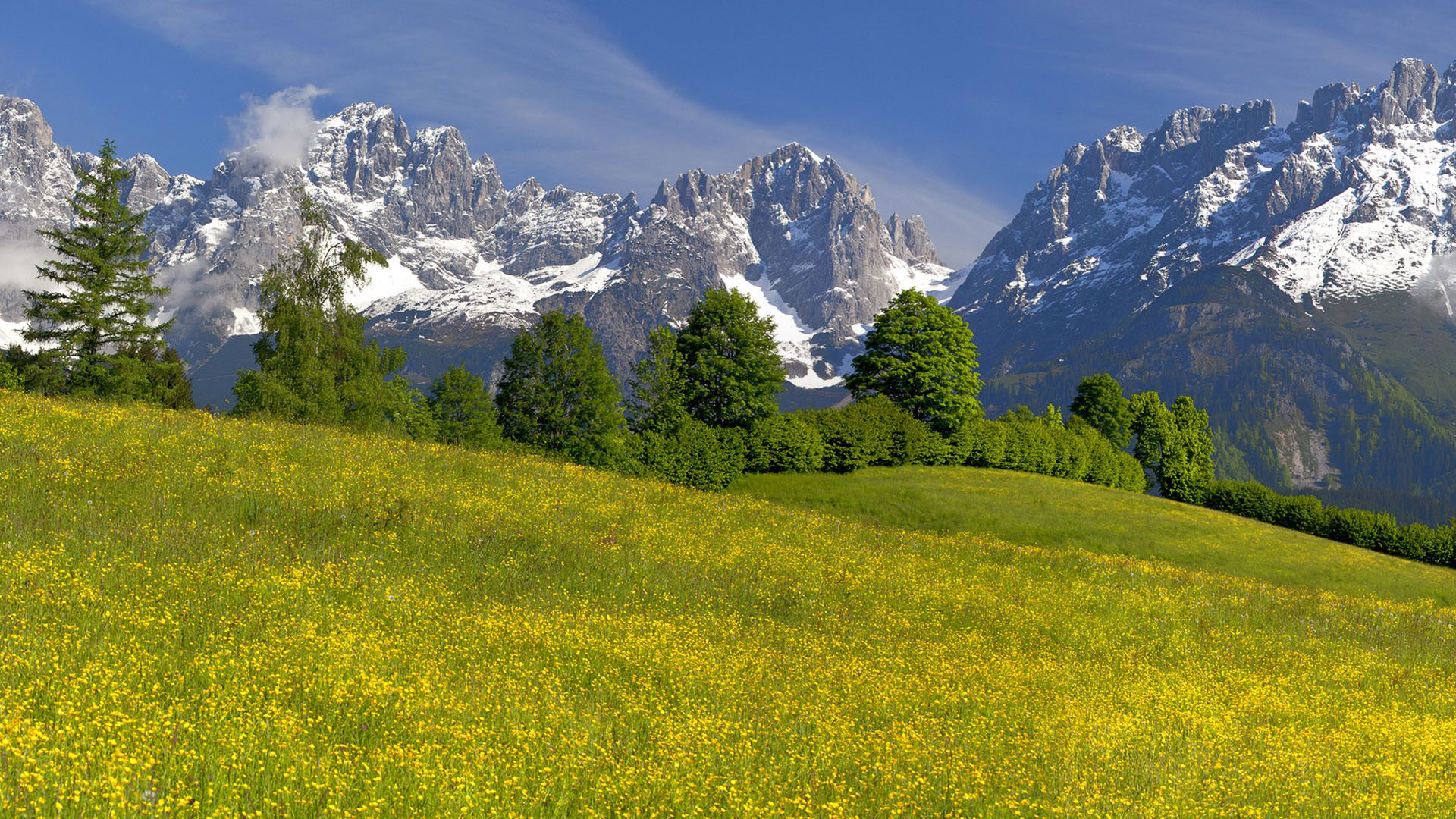 雪山,草地,山坡,树林,天空,秋天