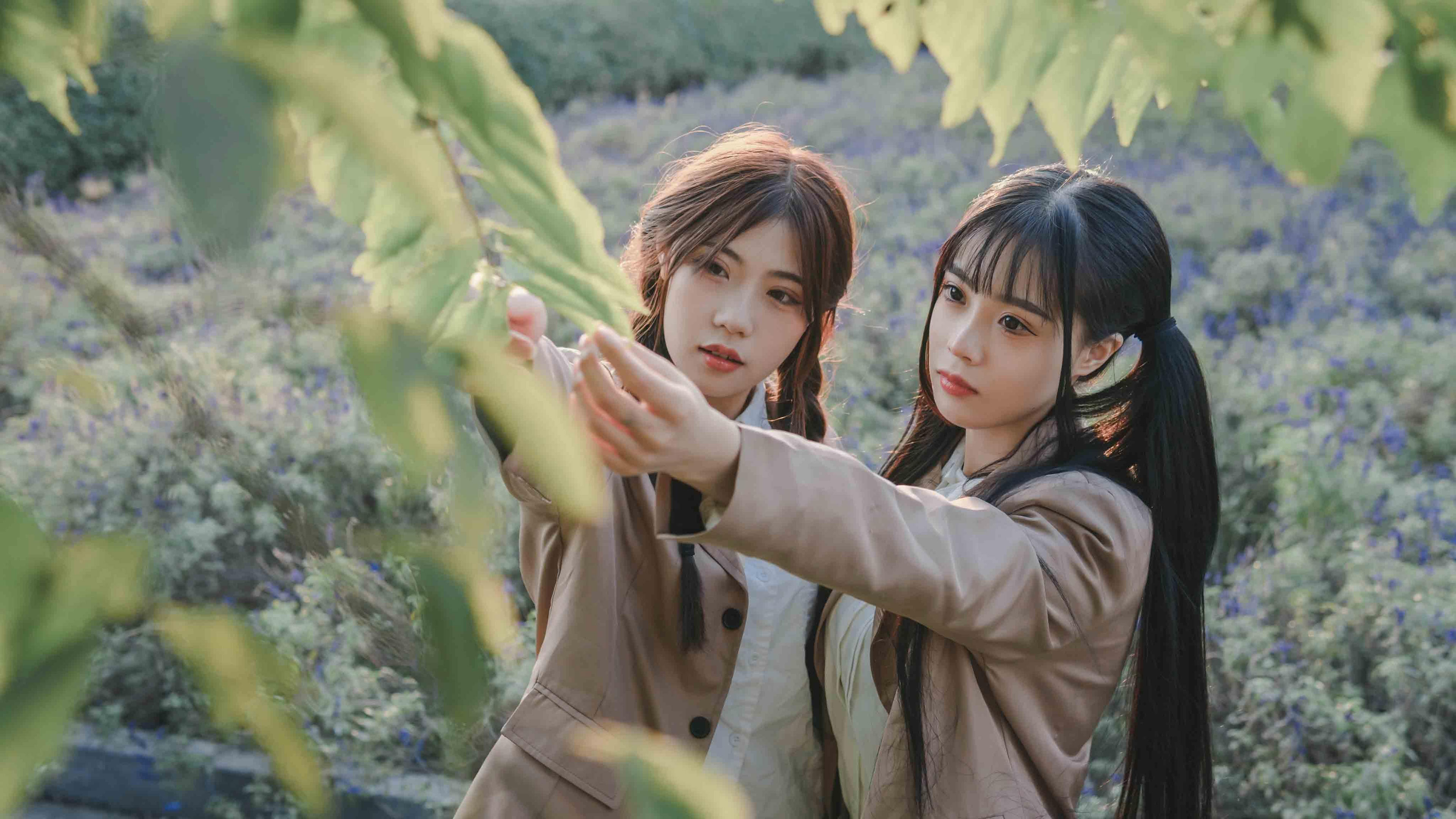 清纯,学生,树叶,姐妹,制服,花丛