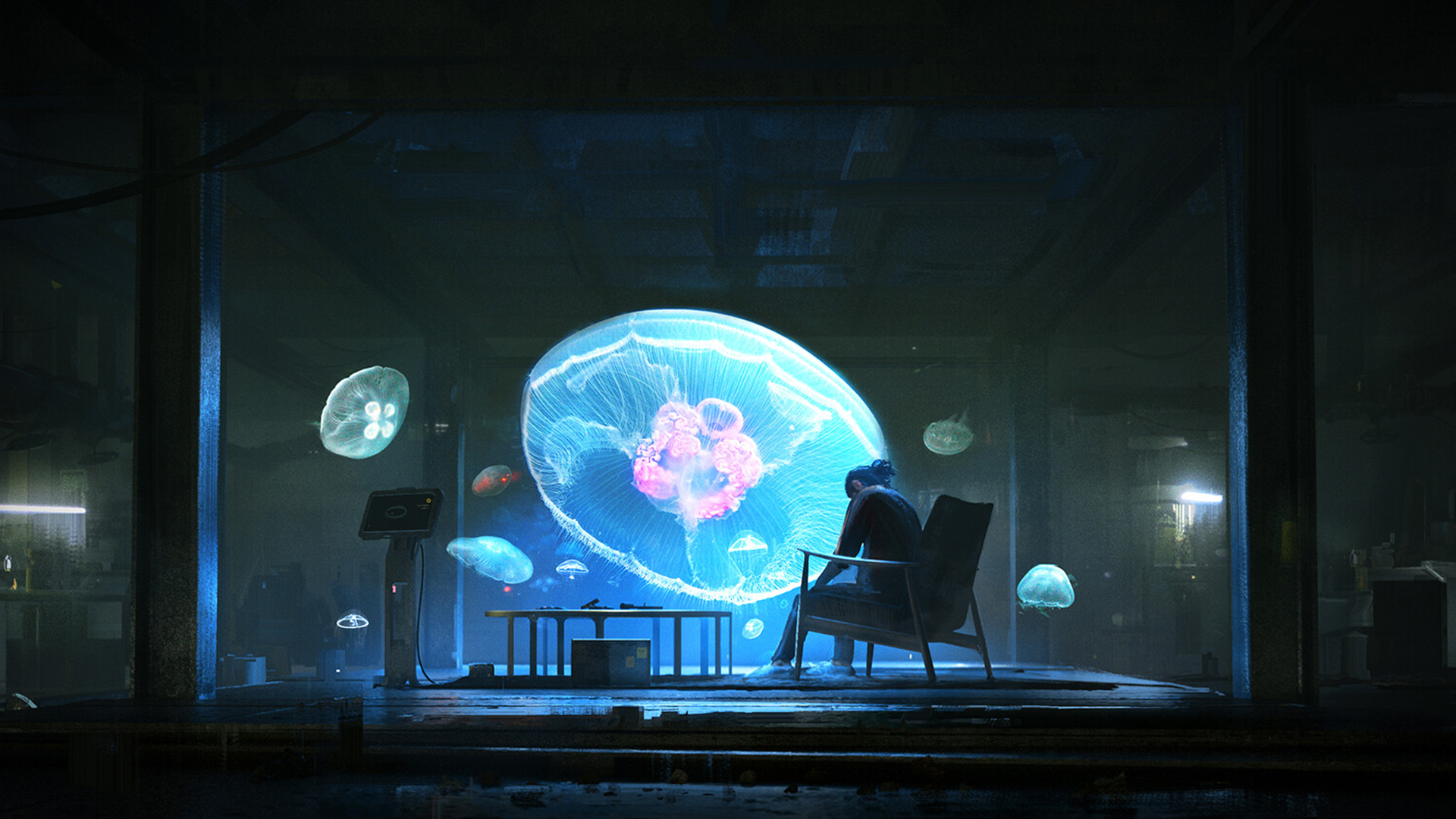 水母,海底,海洋馆,梦幻,童话