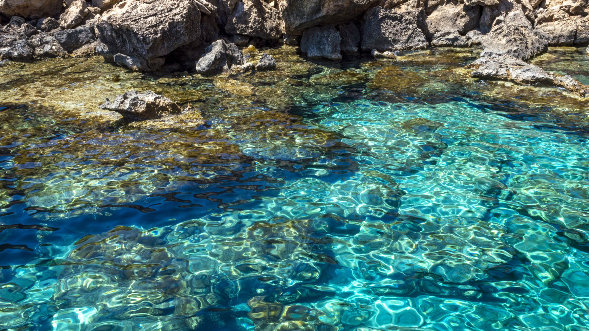 炎炎夏日,水潭,清澈,微波粼粼,