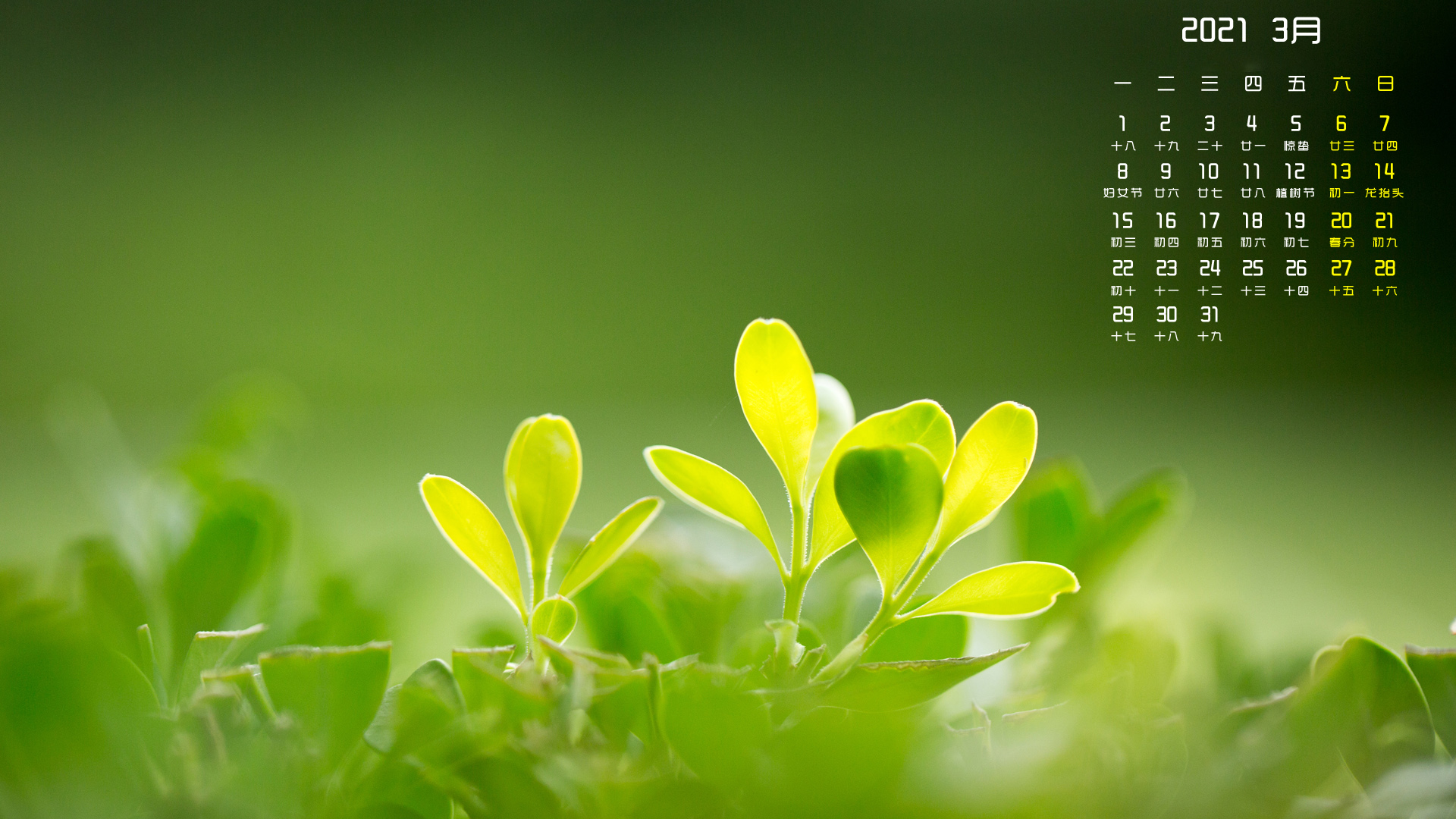 2021年,,3月
